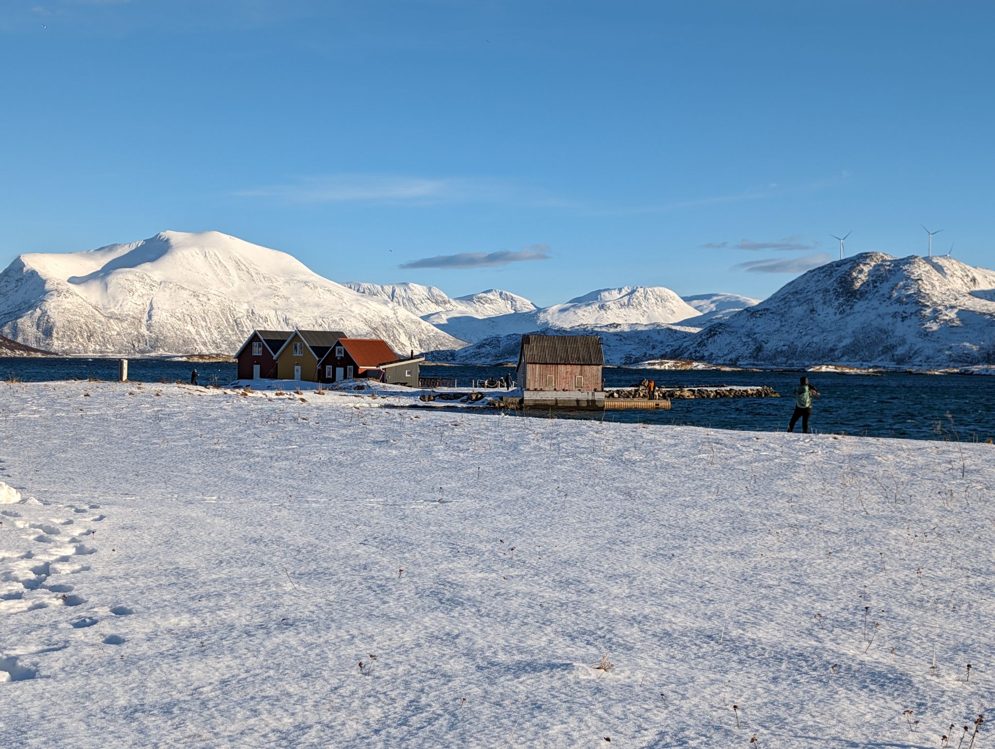 2024 02 23 13.34.46 pixel 8p