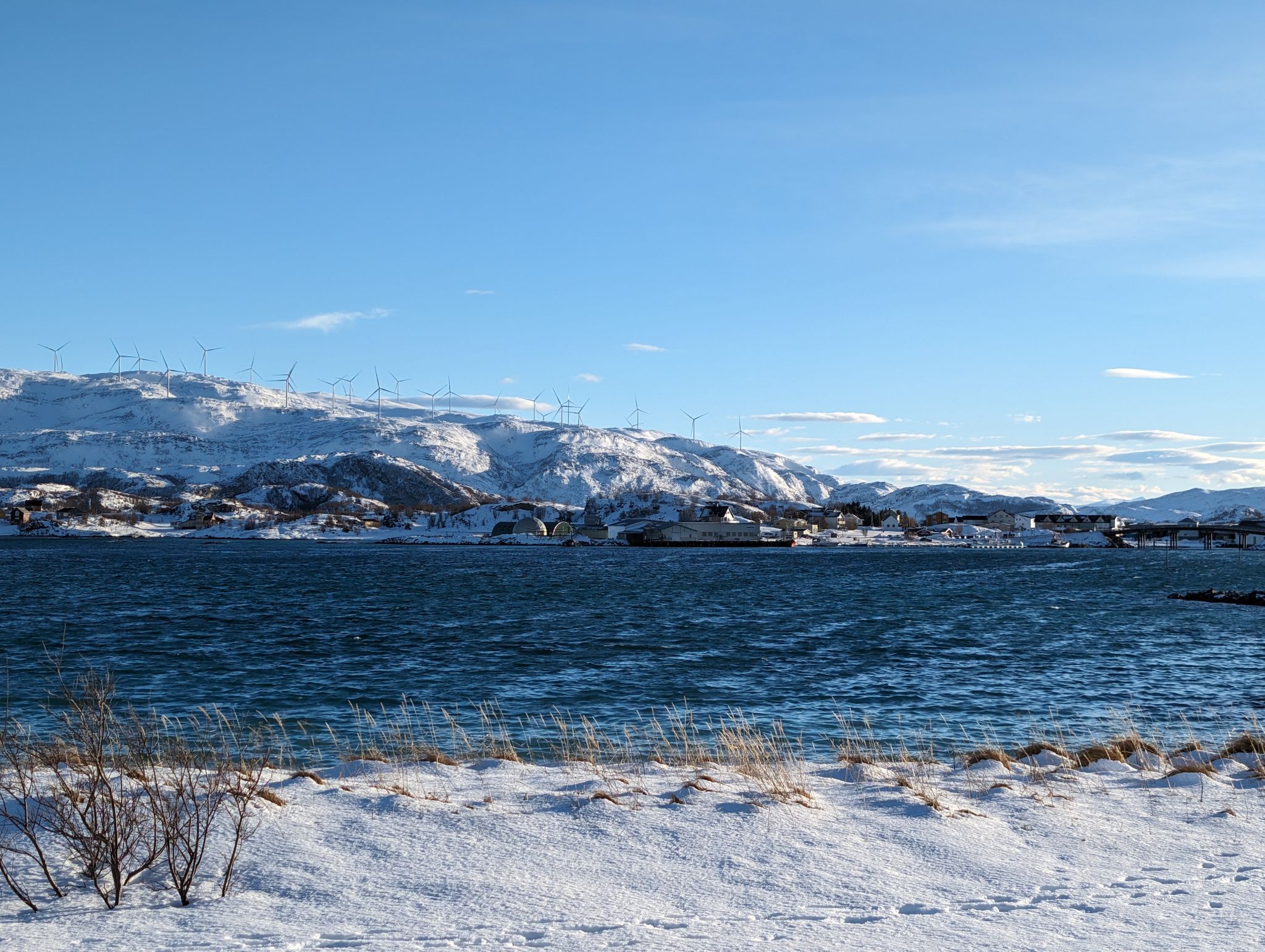 2024 02 23 13.39.37 pixel 8p