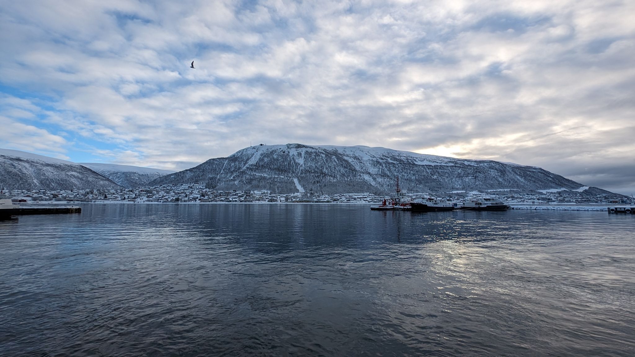 2024 02 20 10.49.55 pixel 8p