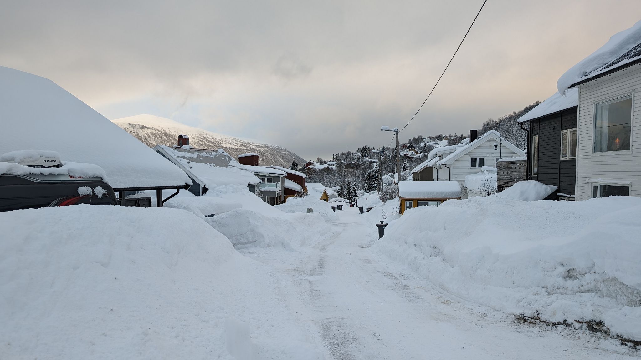 2024 02 20 14.39.35 pixel 8p