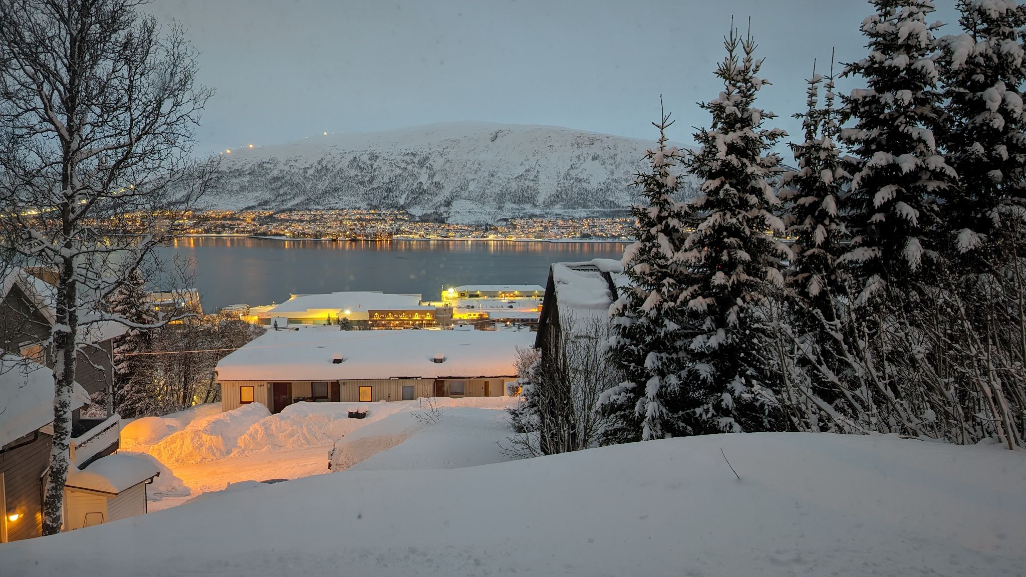 2024 02 20 16.50.31 pixel 8p