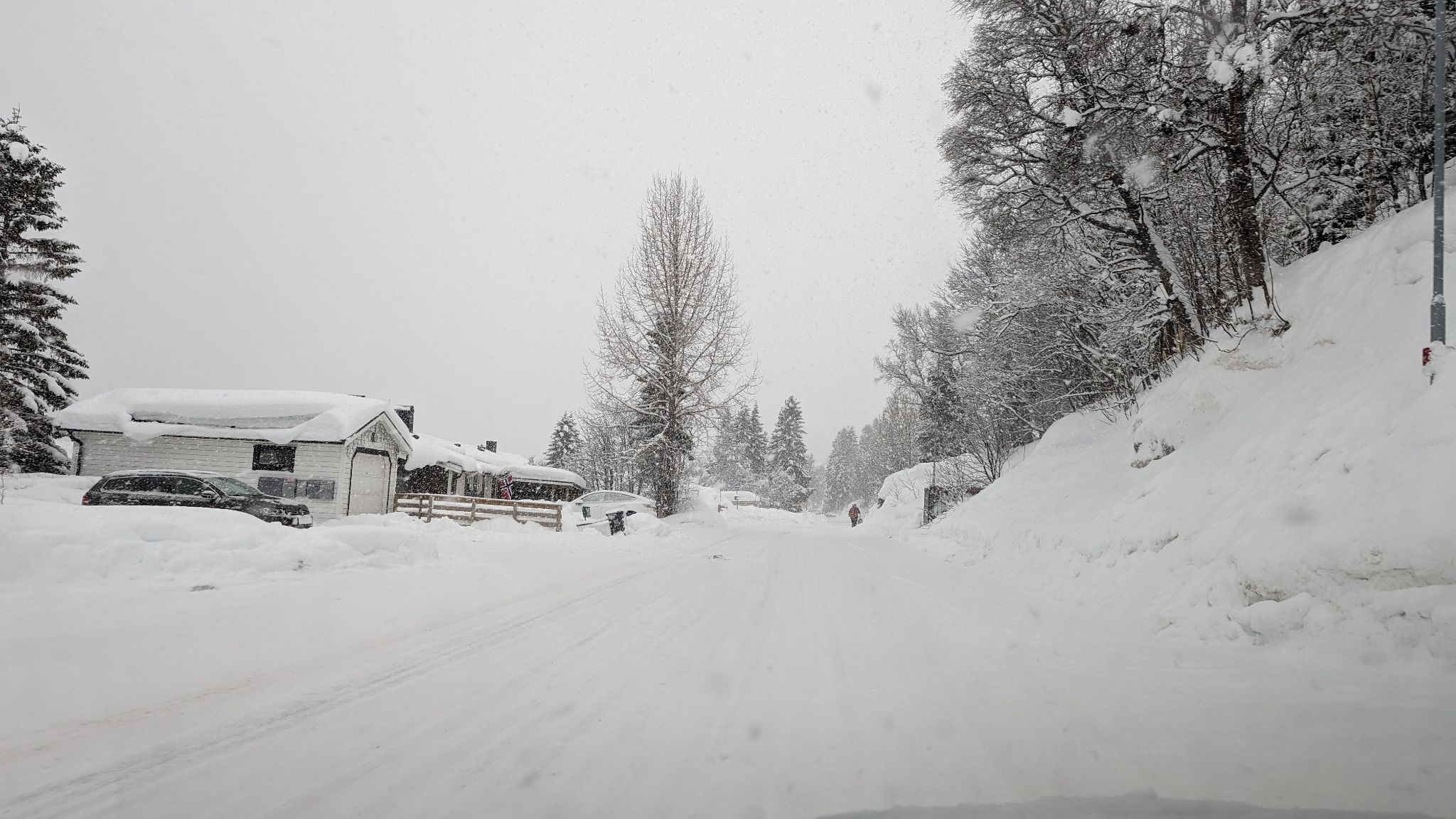 2024 02 21 12.11.52 pixel 8p