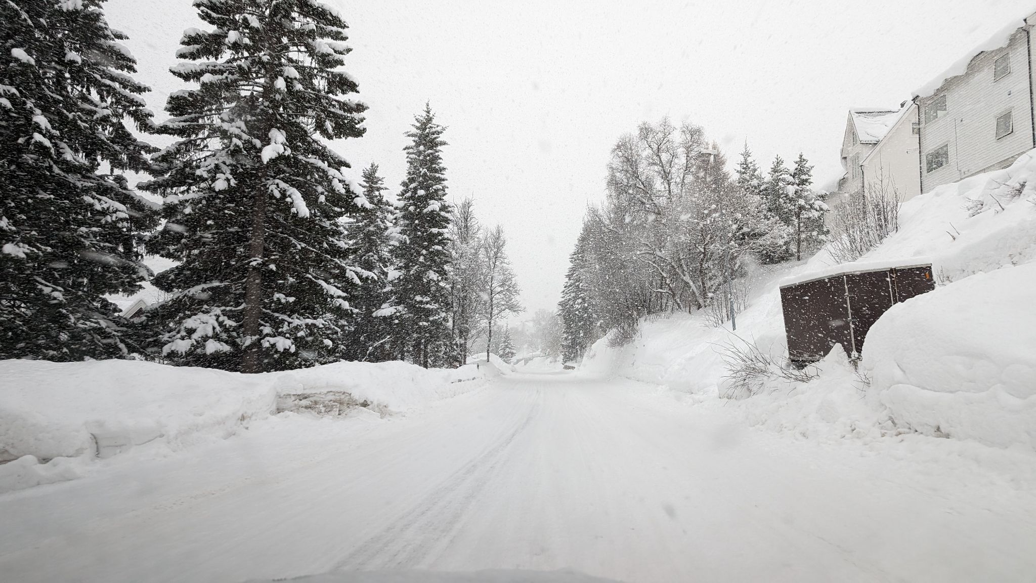 2024 02 21 12.12.09 pixel 8p