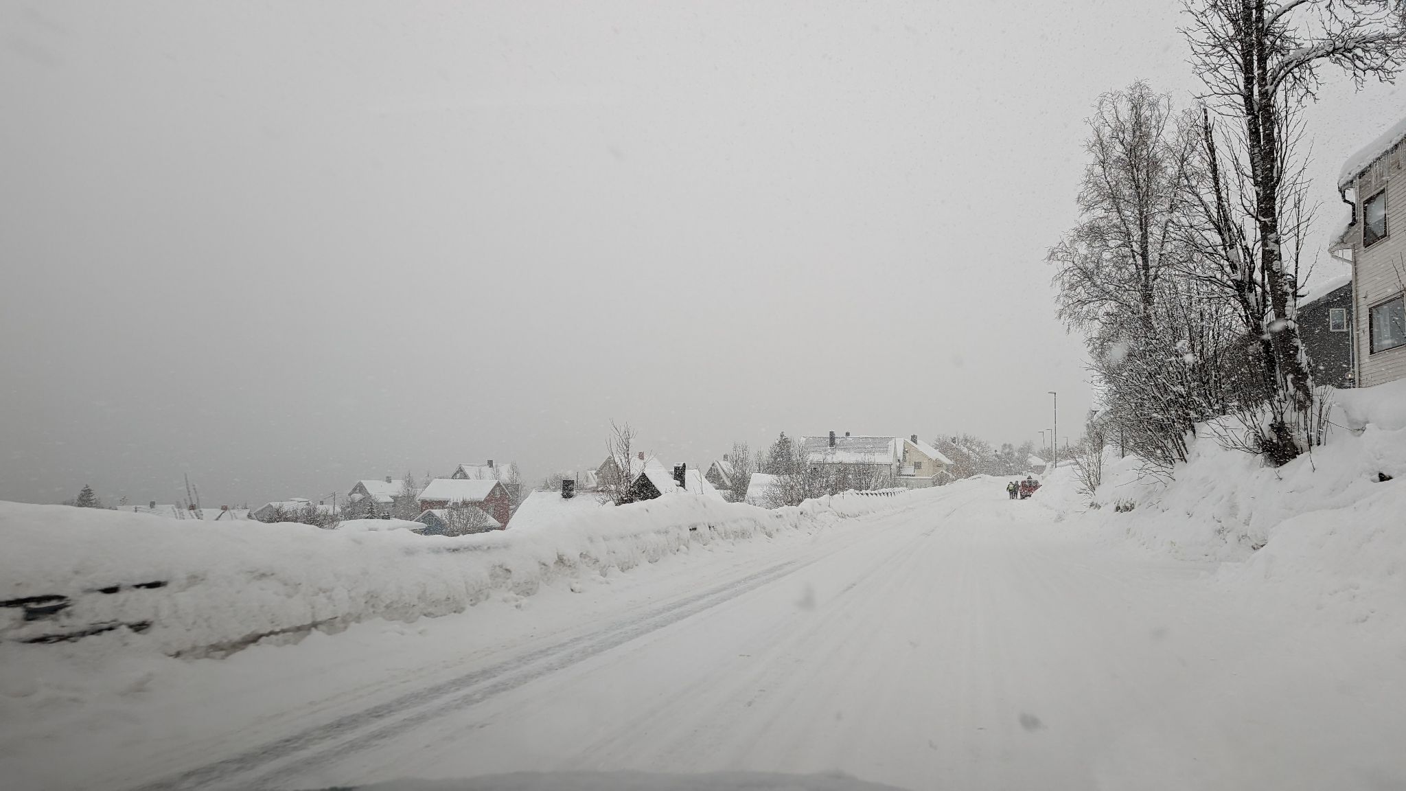 2024 02 21 12.12.59 pixel 8p