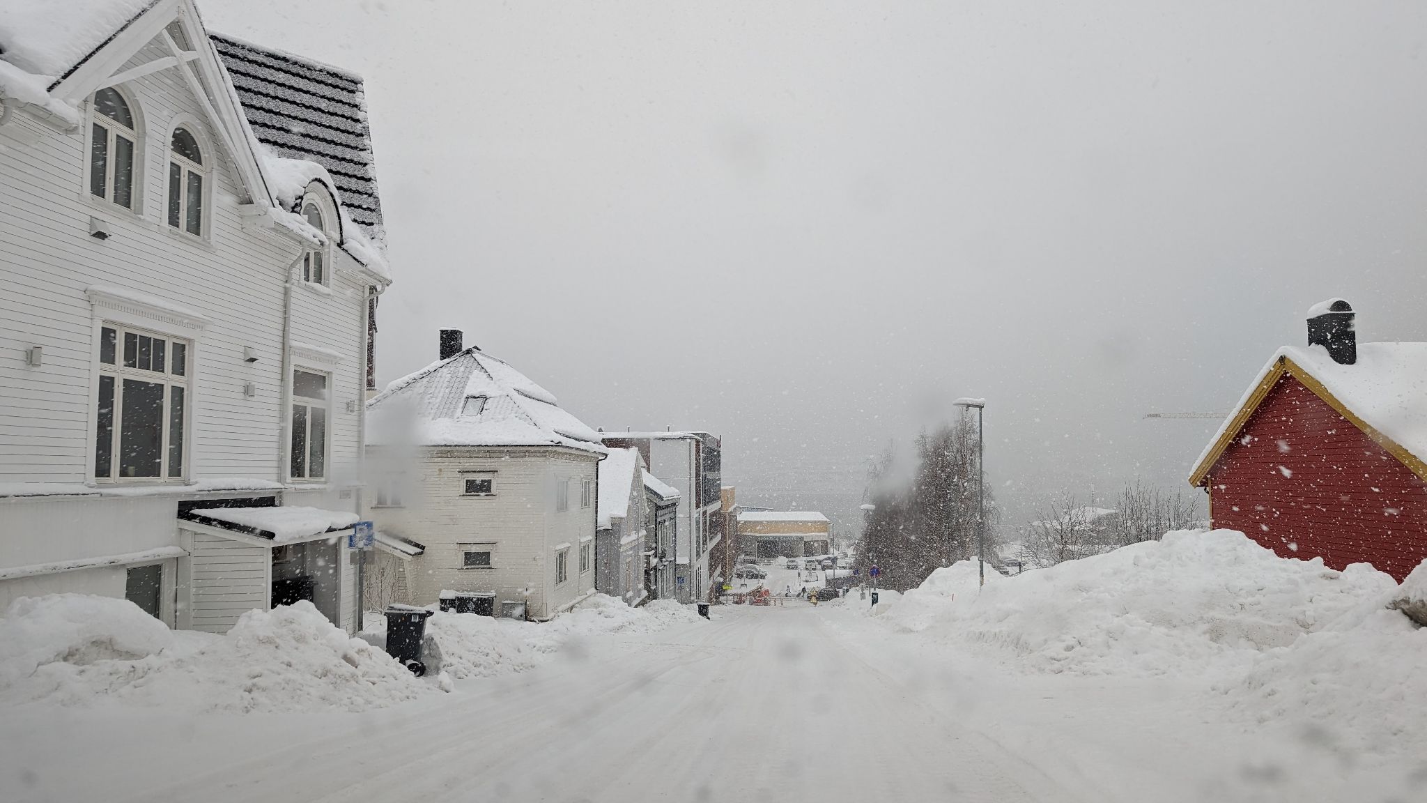 2024 02 21 12.18.31 pixel 8p