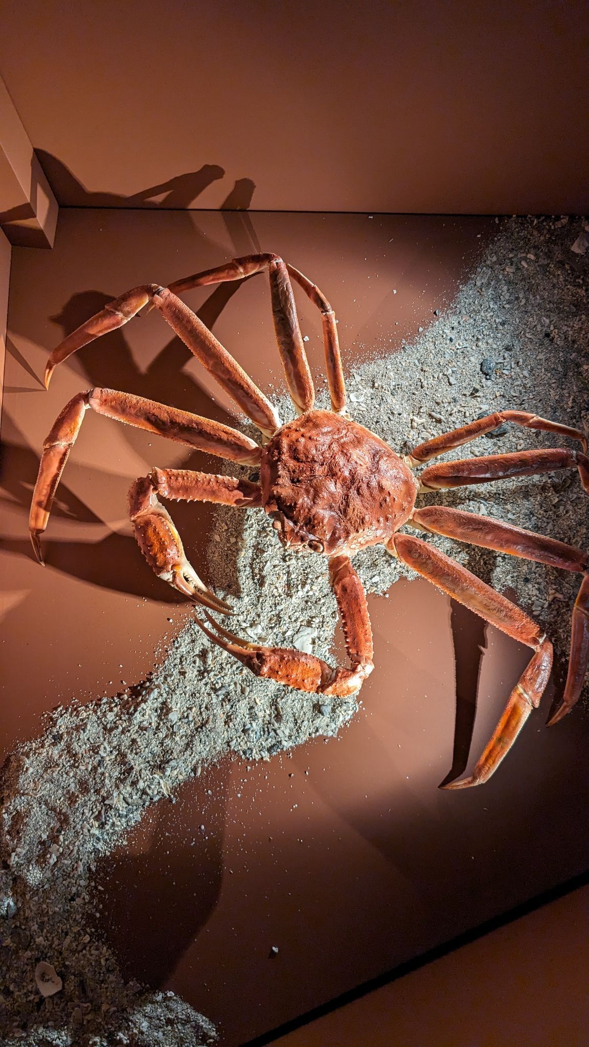 2024 02 21 13.15.36 pixel 8p