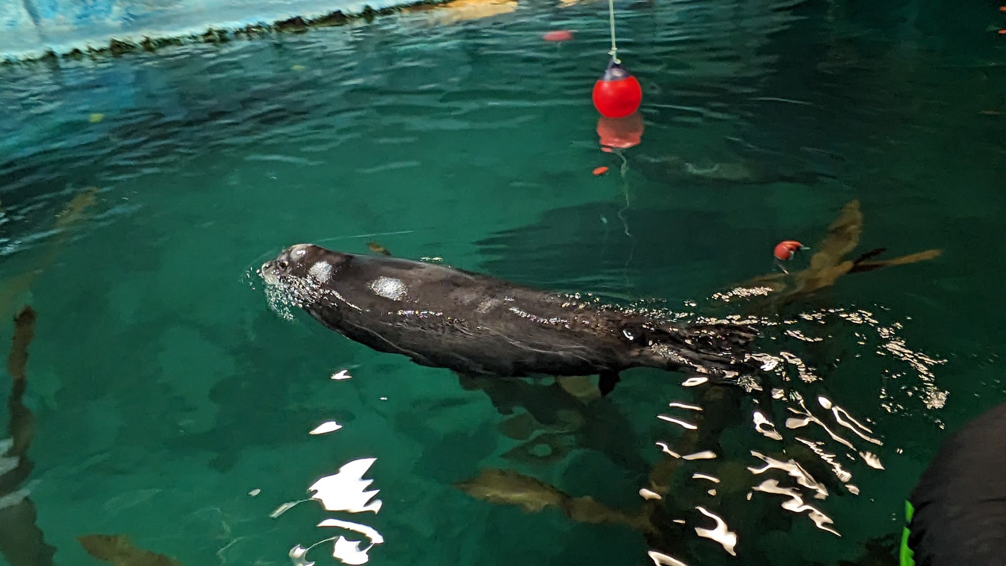 2024 02 21 13.19.38 pixel 8p