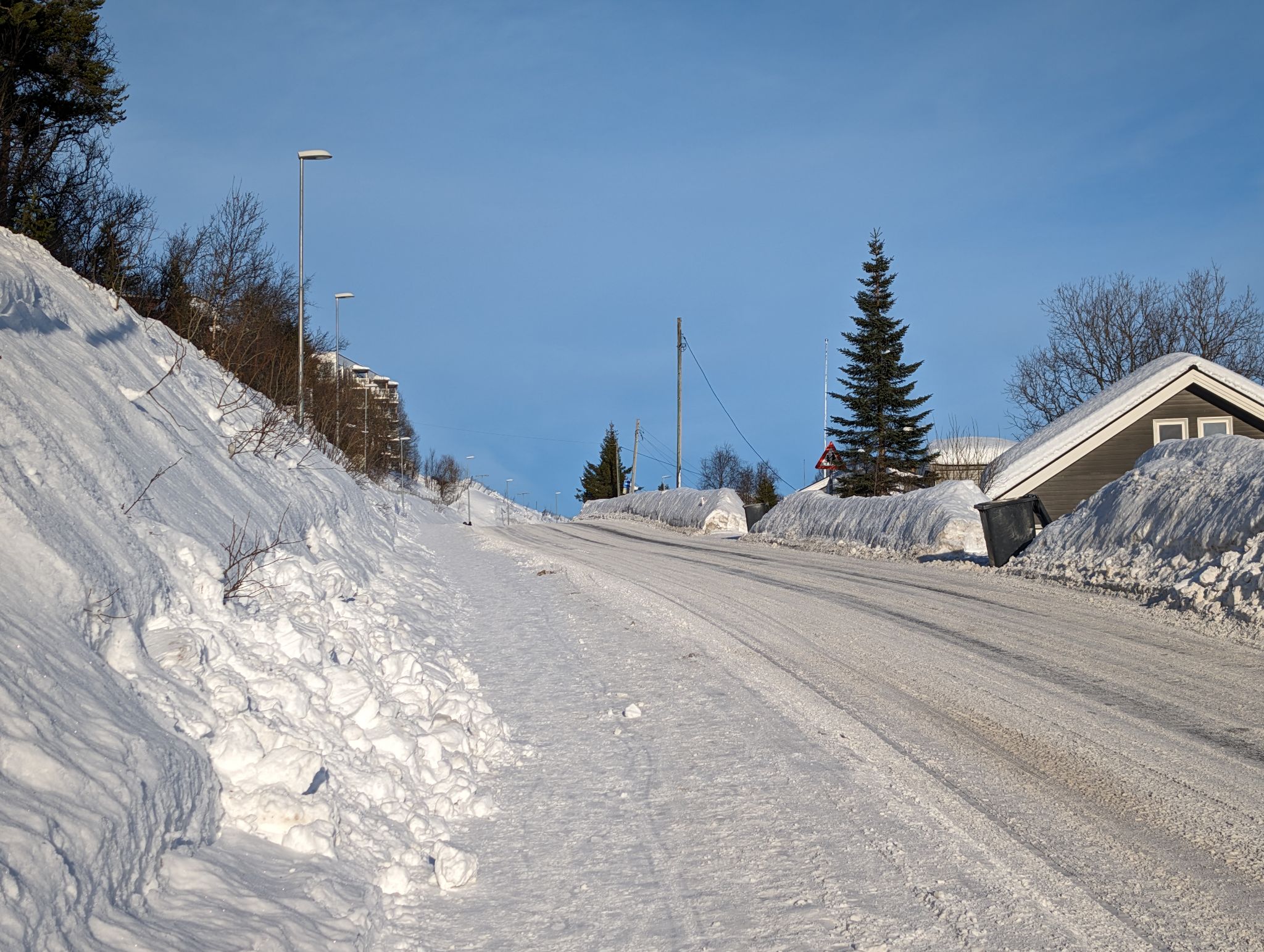 2024 02 23 11.07.54 pixel 8p