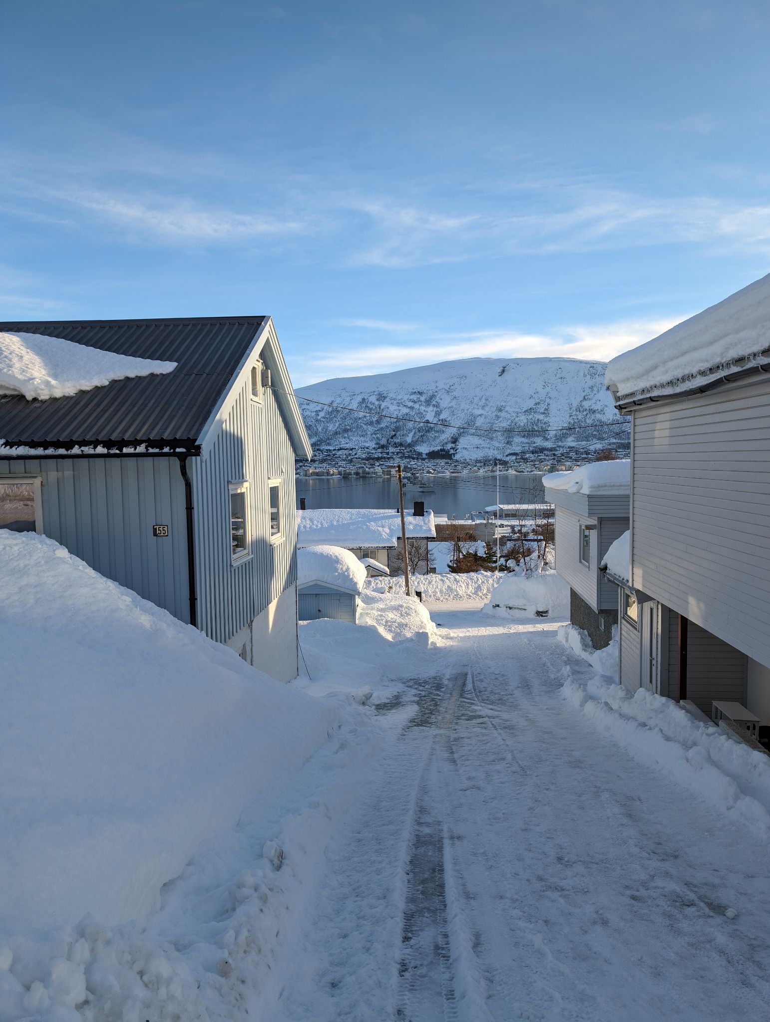 2024 02 23 11.20.59 pixel 8p