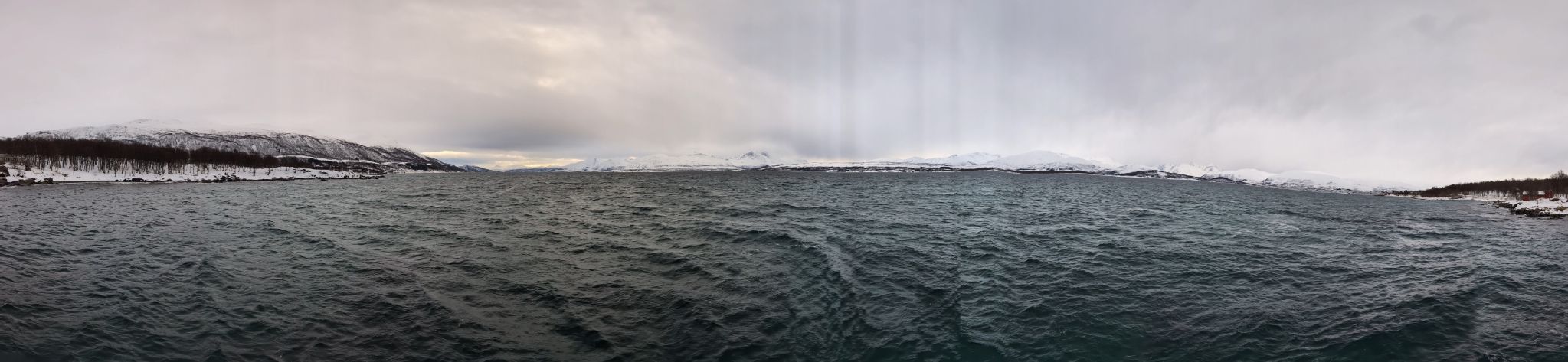 2024 02 24 11.50.50 pixel 8p