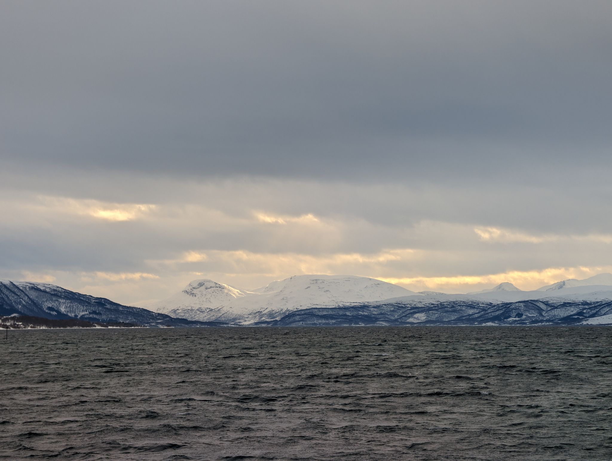 2024 02 24 11.51.48 pixel 8p