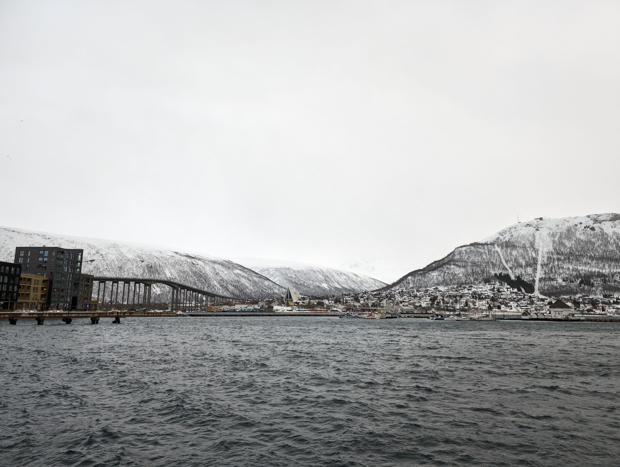 2024 02 24 15.19.18 pixel 8p