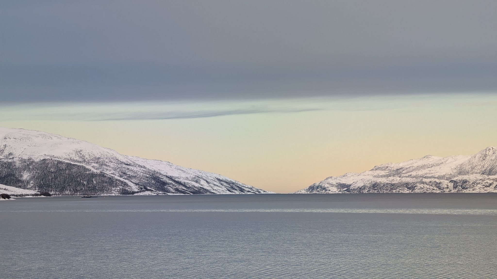 2024 02 22 11.08.51 pixel 8p