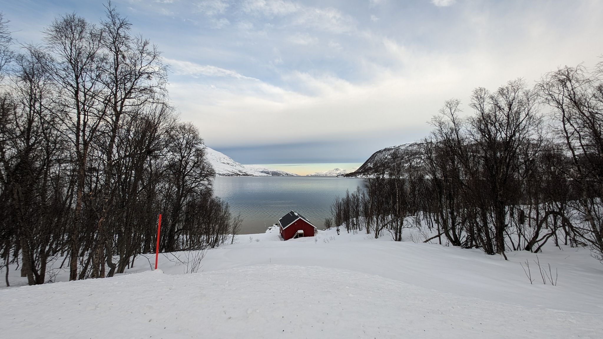 2024 02 22 11.08.54 pixel 8p