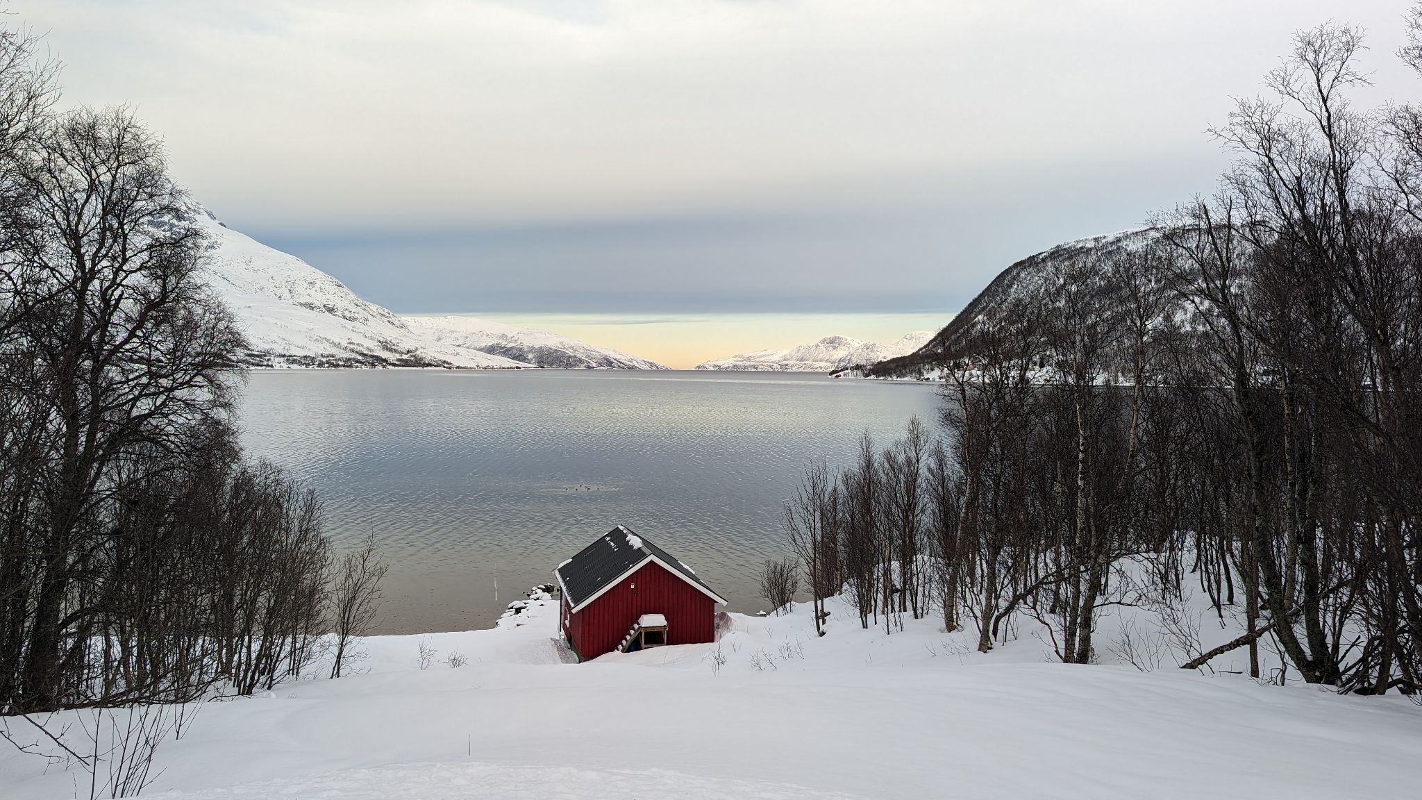 2024 02 22 11.09.03 pixel 8p