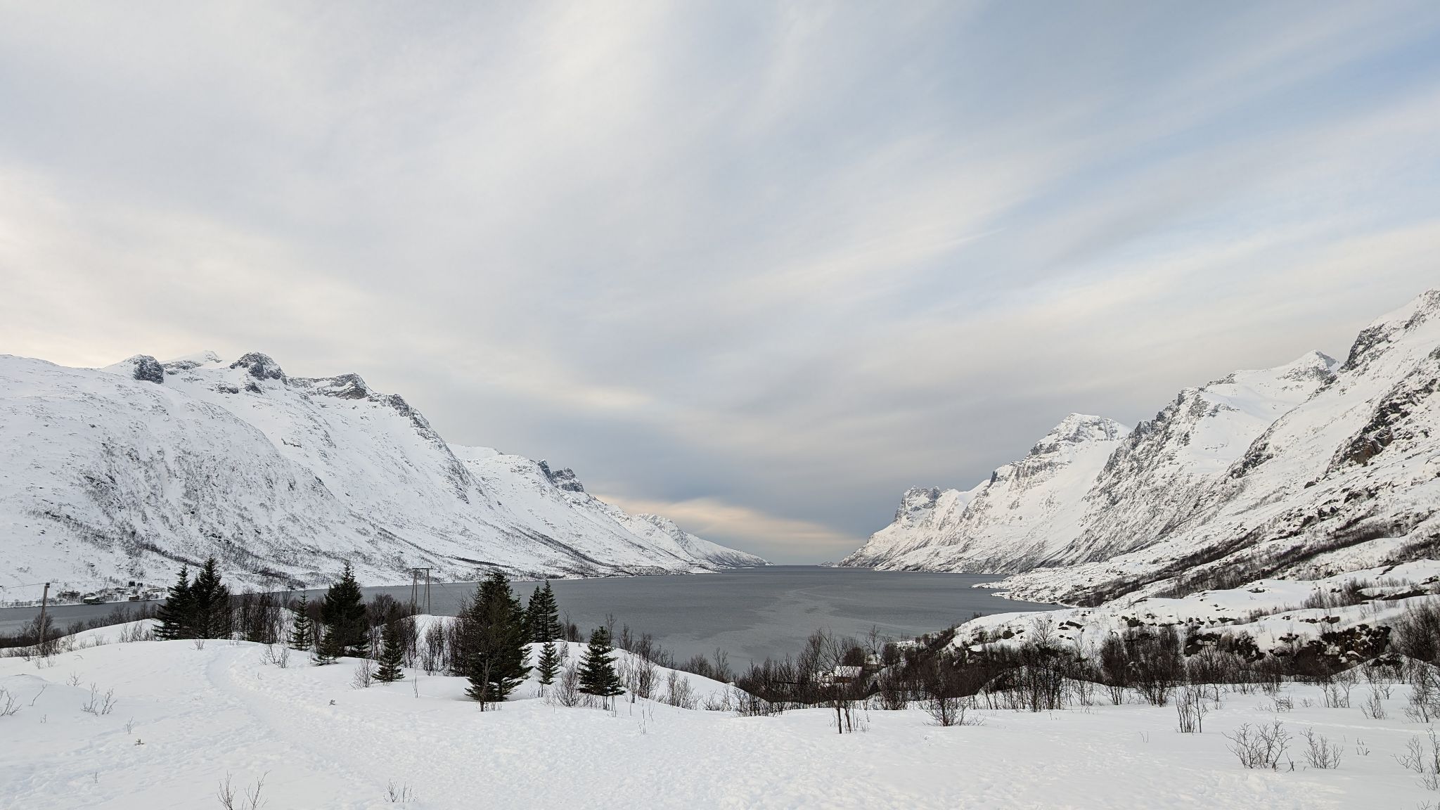 2024 02 22 11.21.05 pixel 8p