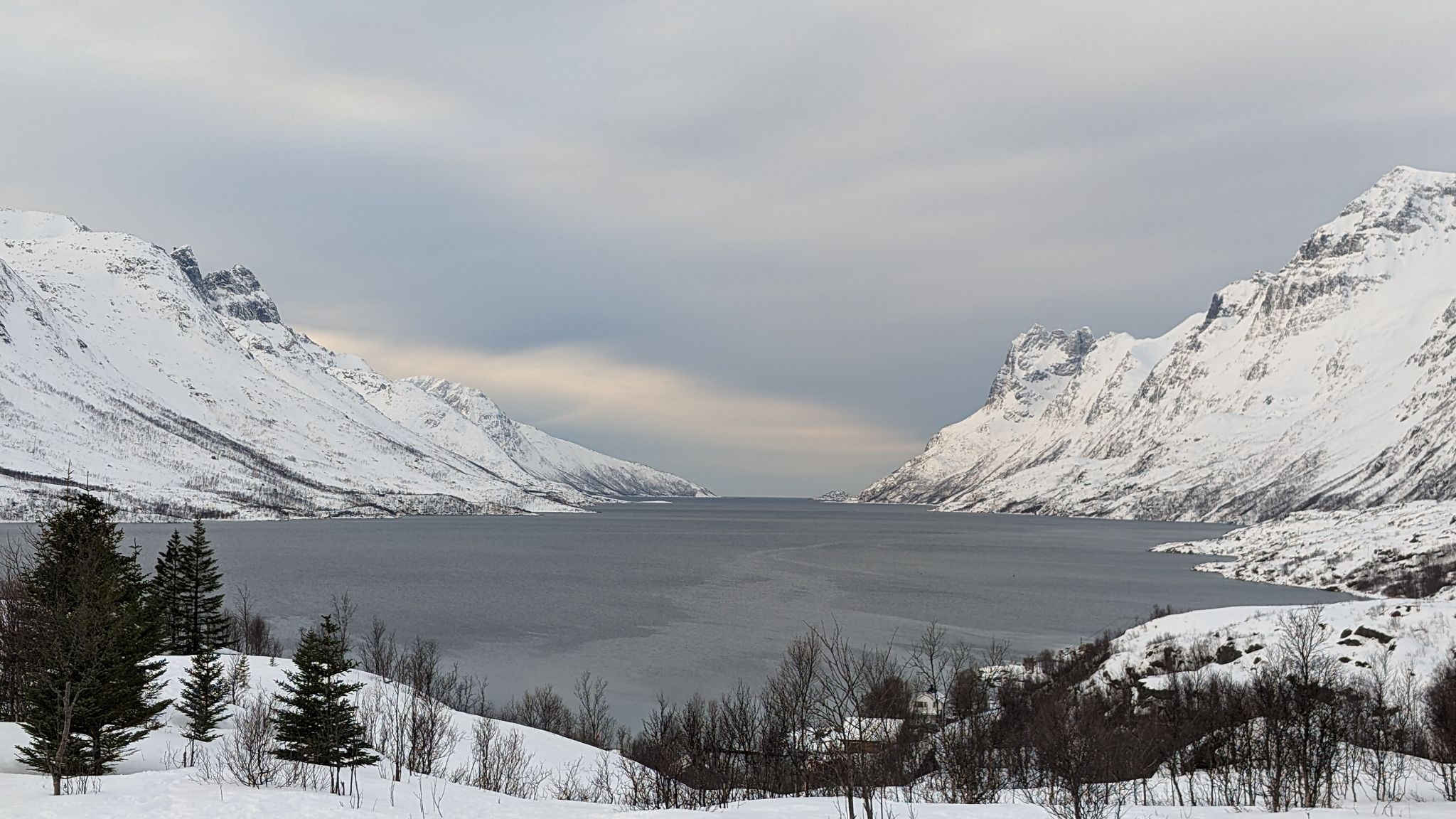 2024 02 22 11.21.46 pixel 8p