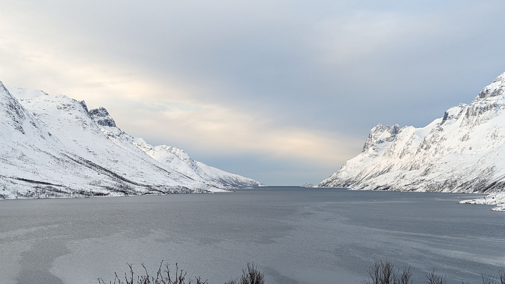 2024 02 22 11.34.00 pixel 8p