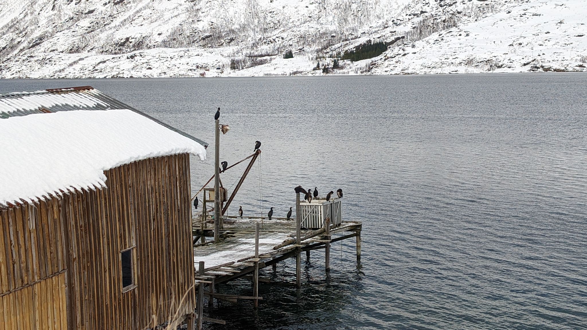 2024 02 22 11.55.07 pixel 8p