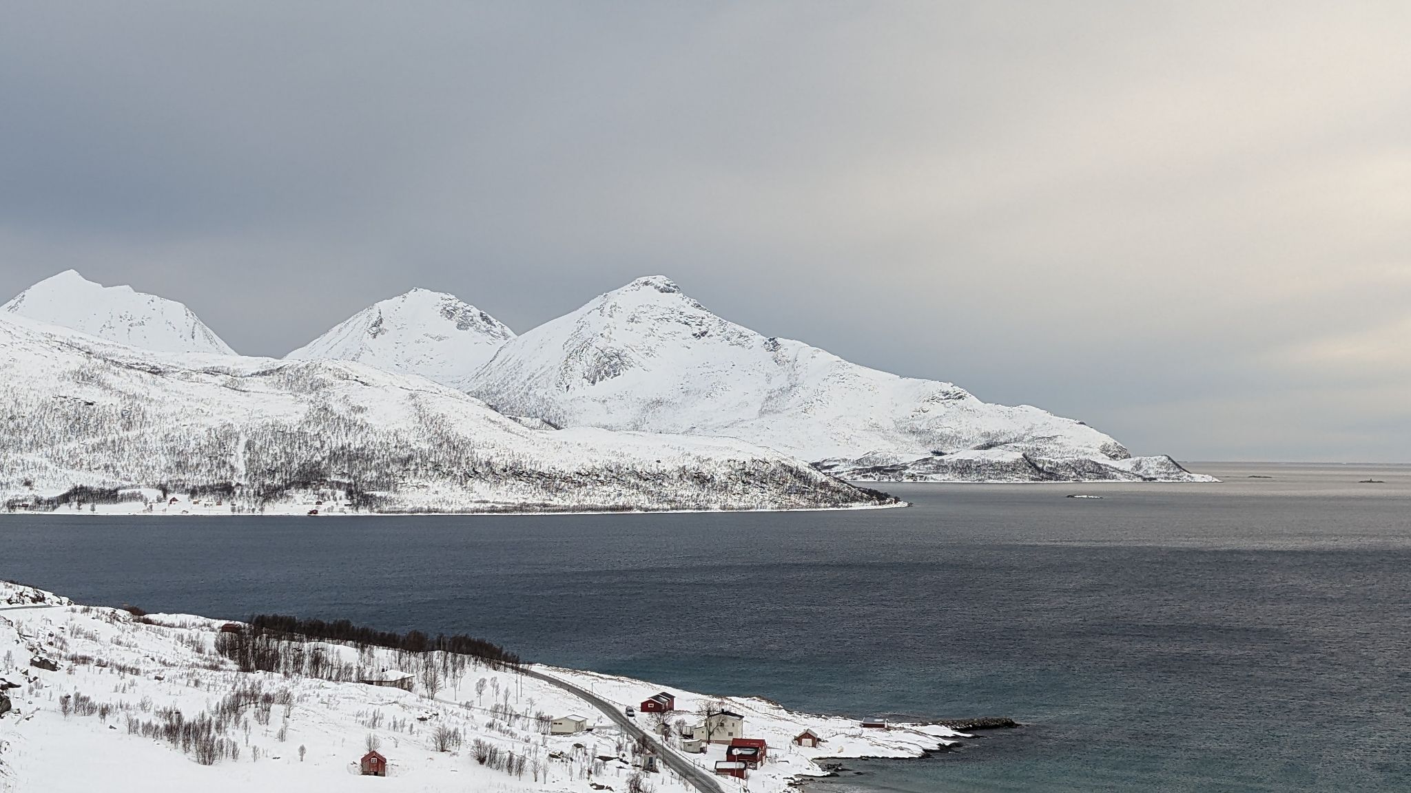 2024 02 22 12.28.13 pixel 8p