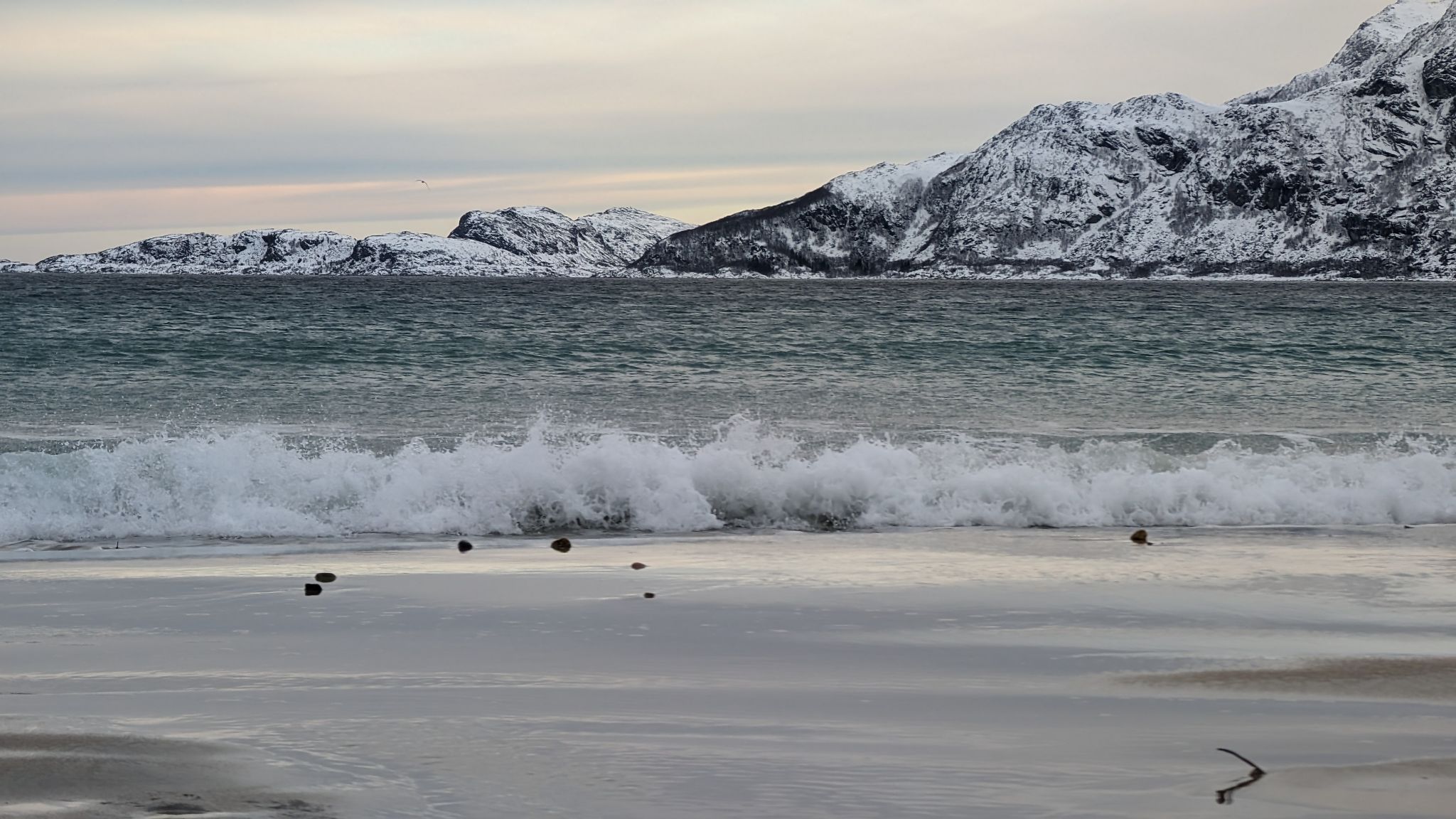 2024 02 22 12.41.33.1 pixel 8p