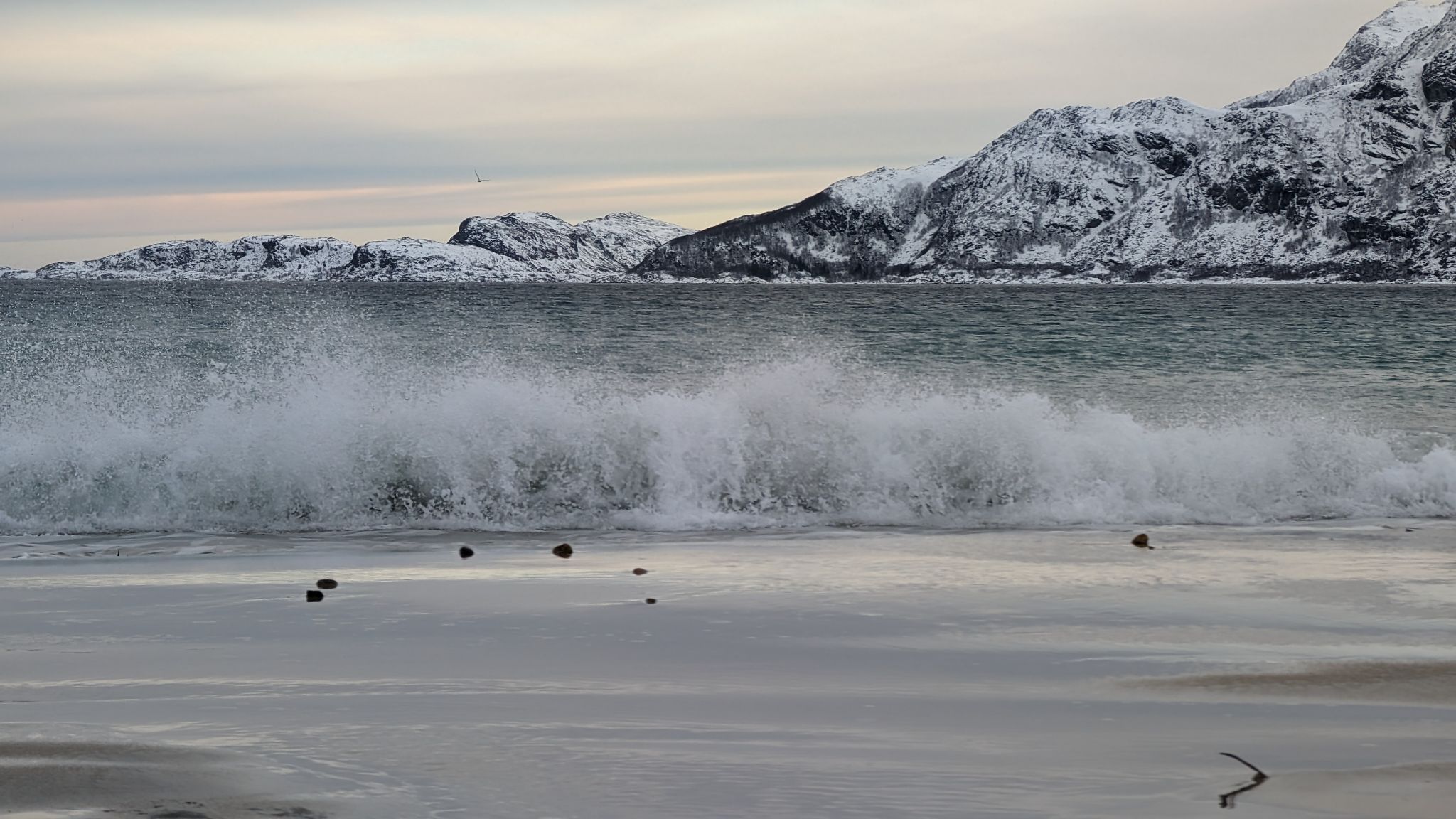 2024 02 22 12.41.33 pixel 8p