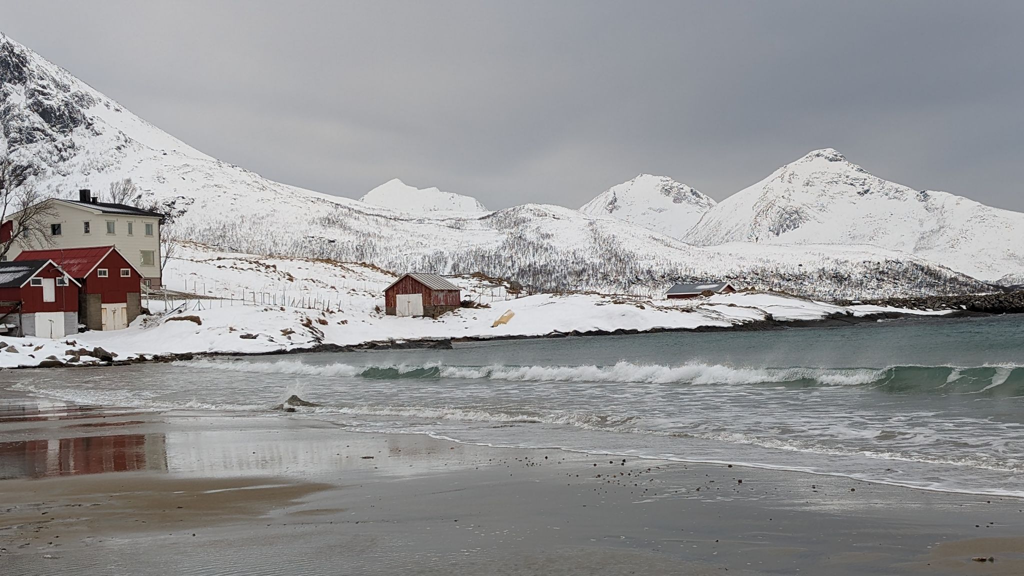 2024 02 22 12.42.53 pixel 8p