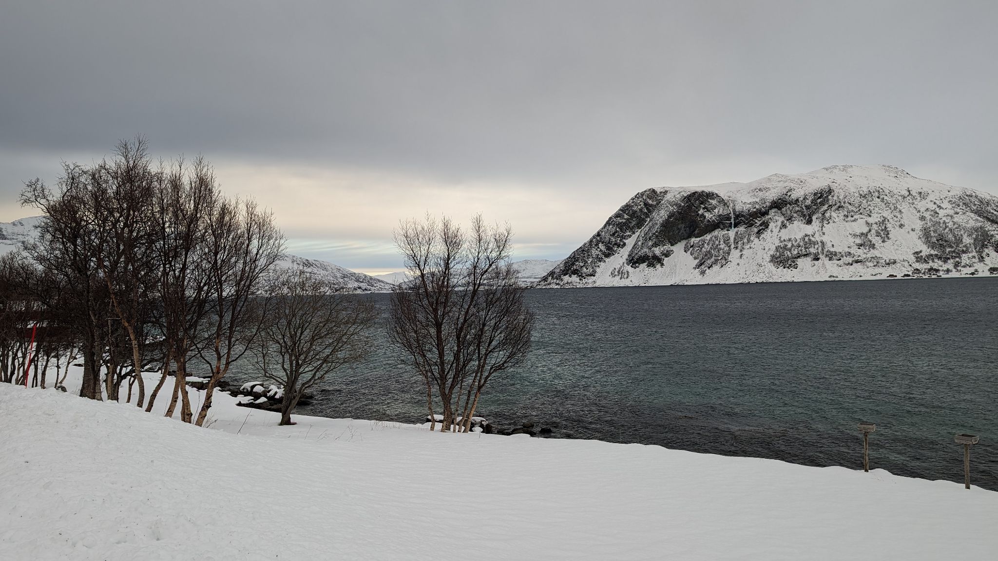 2024 02 22 13.10.46 pixel 8p