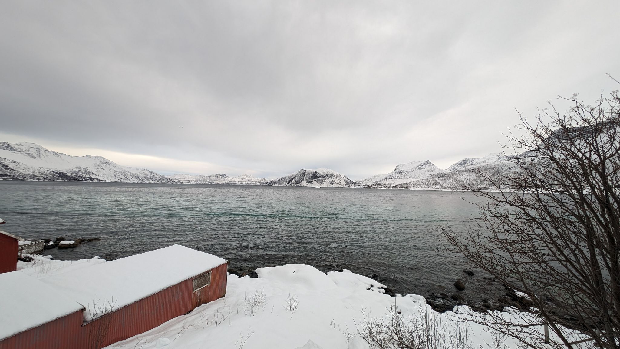 2024 02 22 13.23.13 pixel 8p