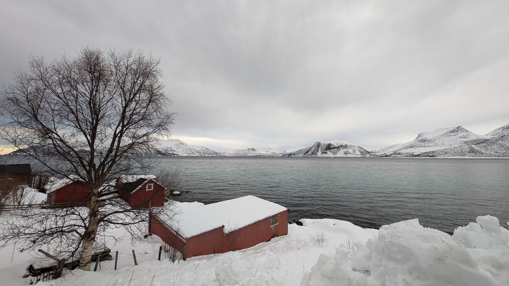 2024 02 22 13.24.09 pixel 8p