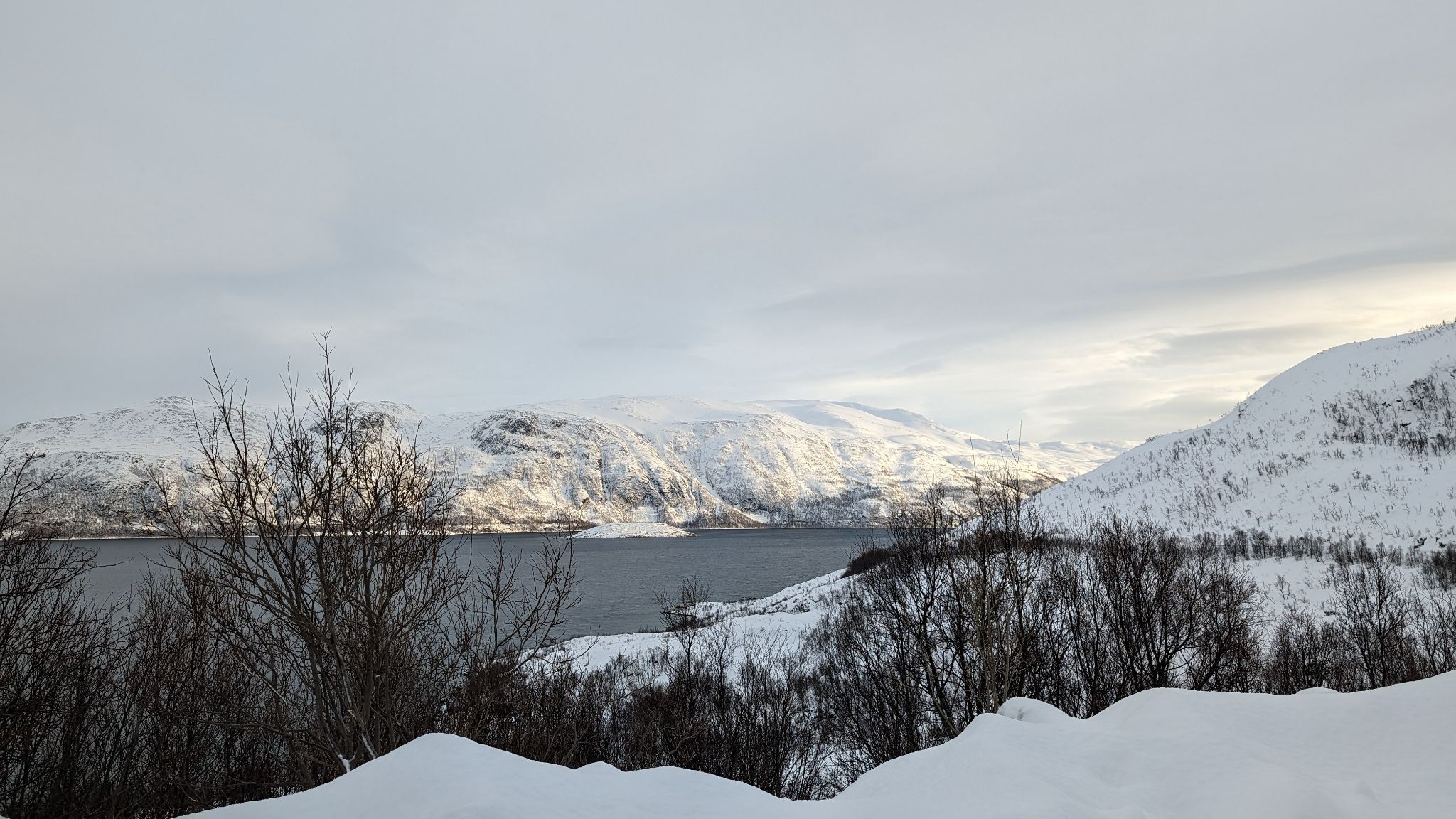 2024 02 22 13.56.37 pixel 8p