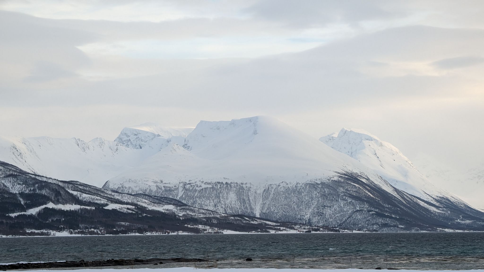 2024 02 22 14.46.30 pixel 8p