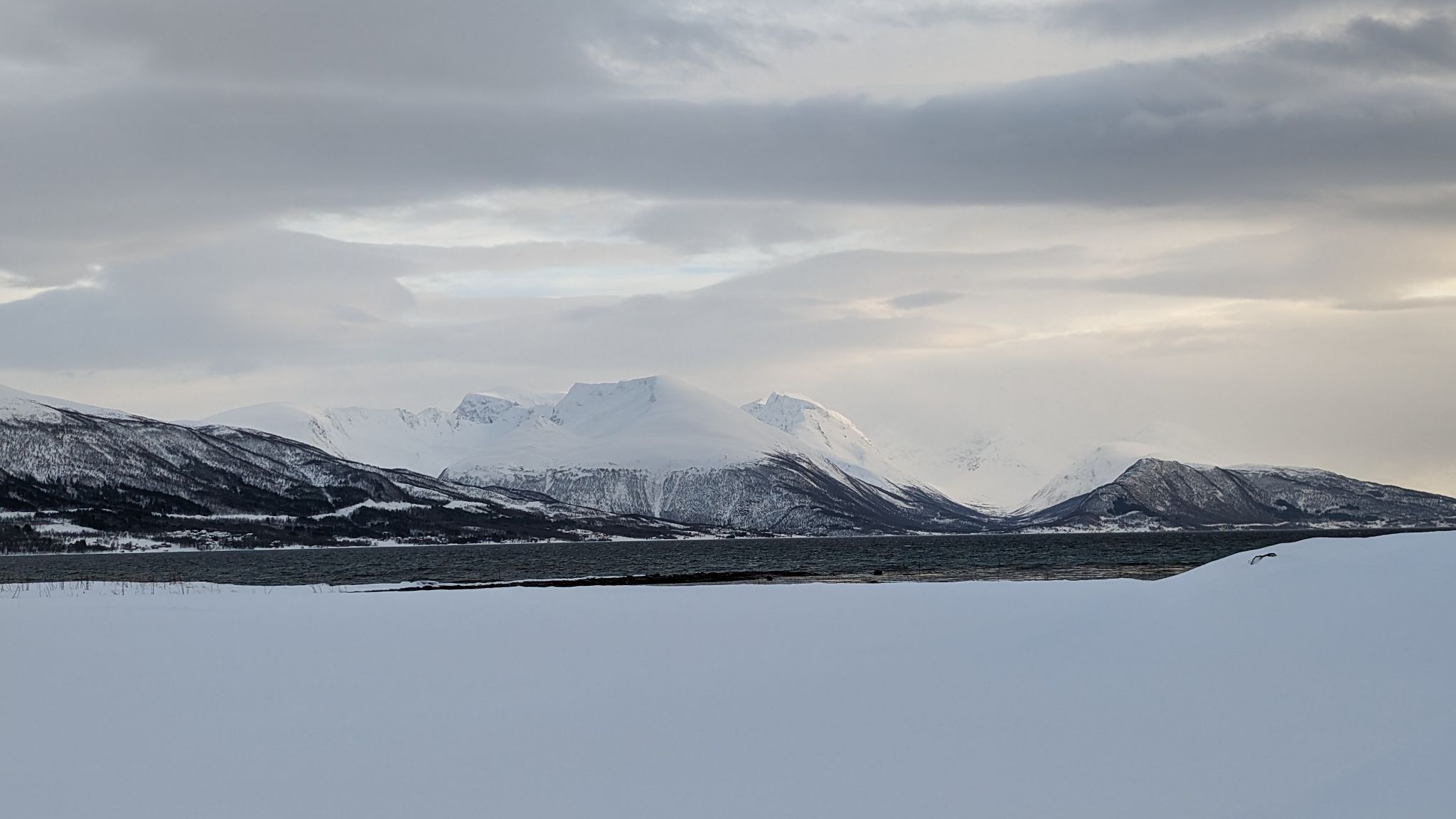 2024 02 22 14.46.51 pixel 8p