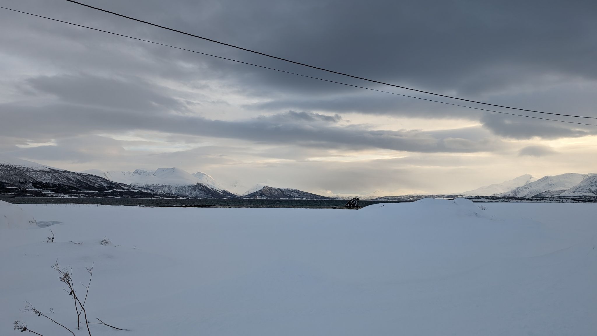 2024 02 22 14.47.37 pixel 8p