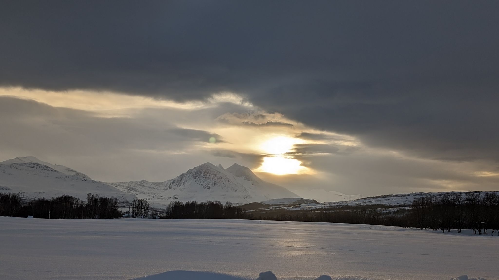 2024 02 22 14.51.19 pixel 8p