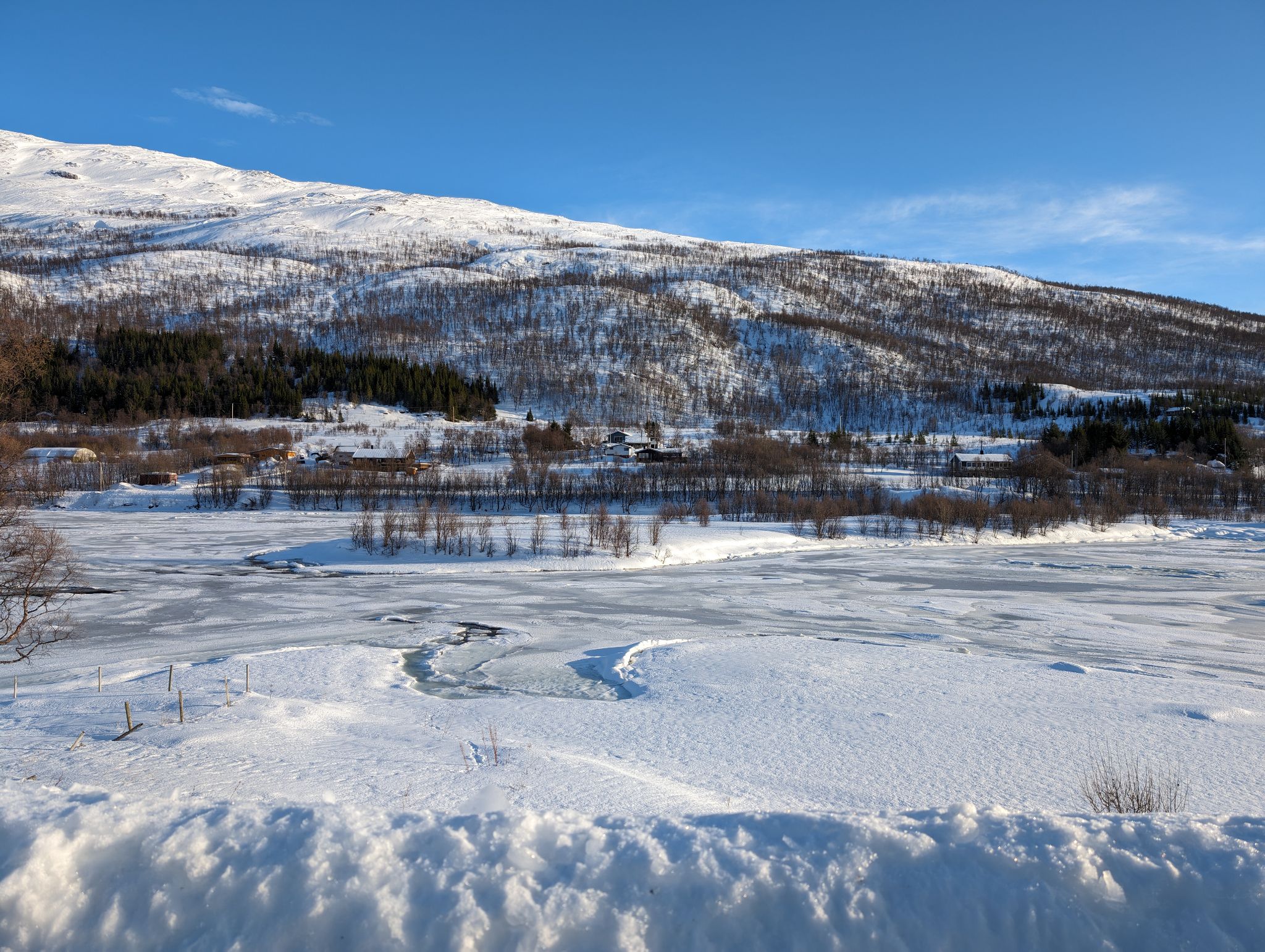 2024 02 23 12.56.19 pixel 8p