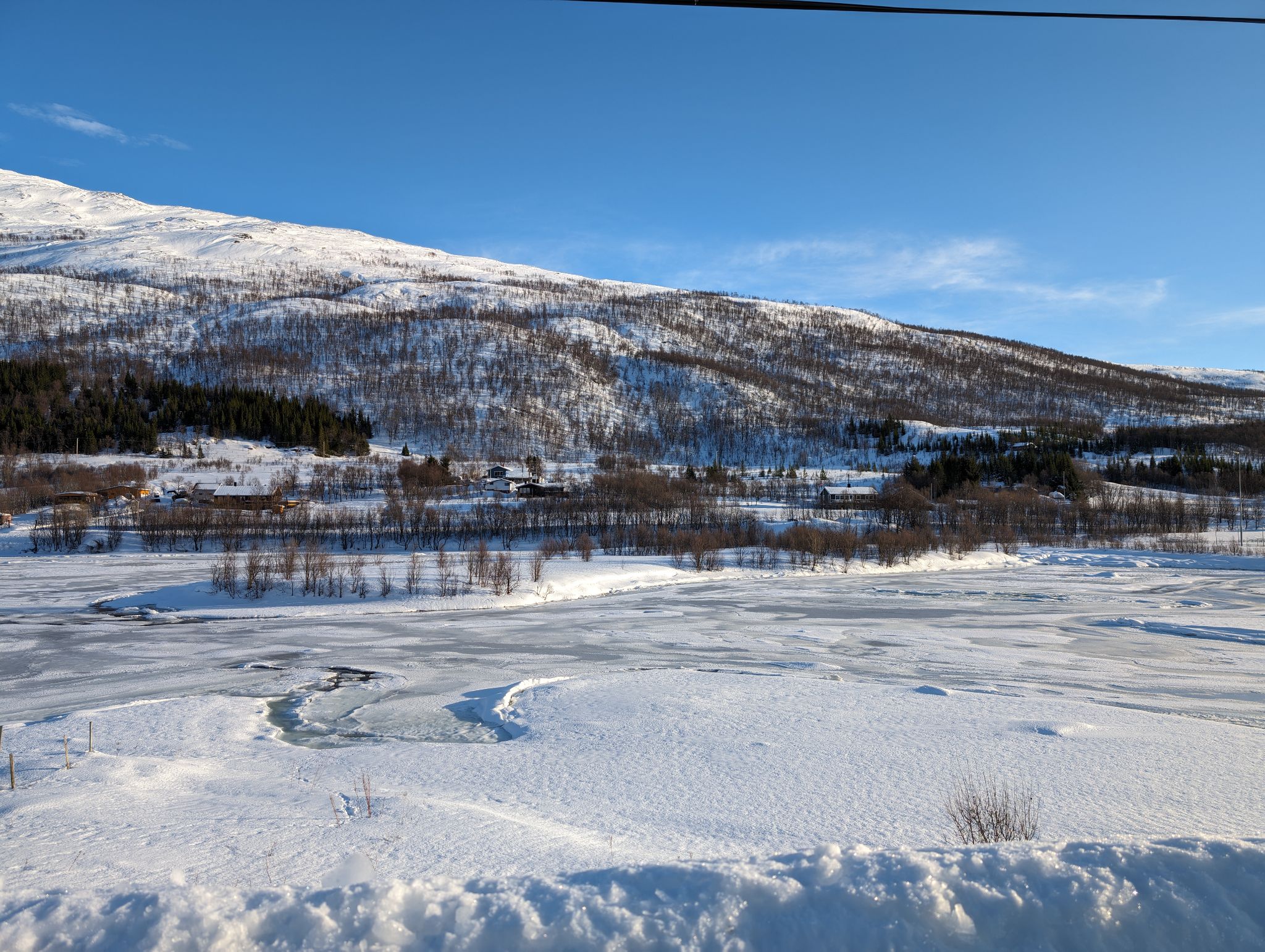 2024 02 23 12.56.27 pixel 8p