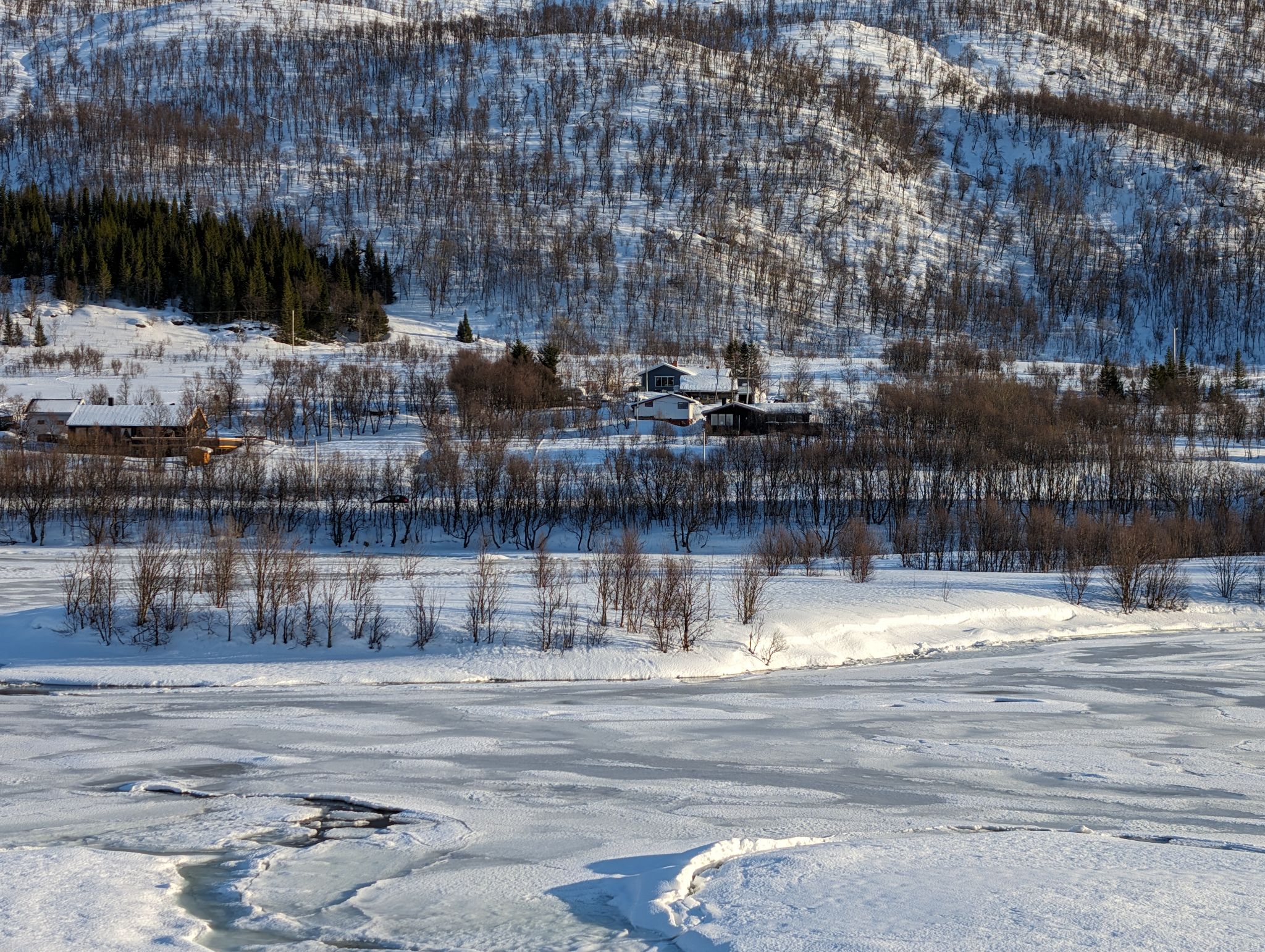 2024 02 23 12.56.35 pixel 8p