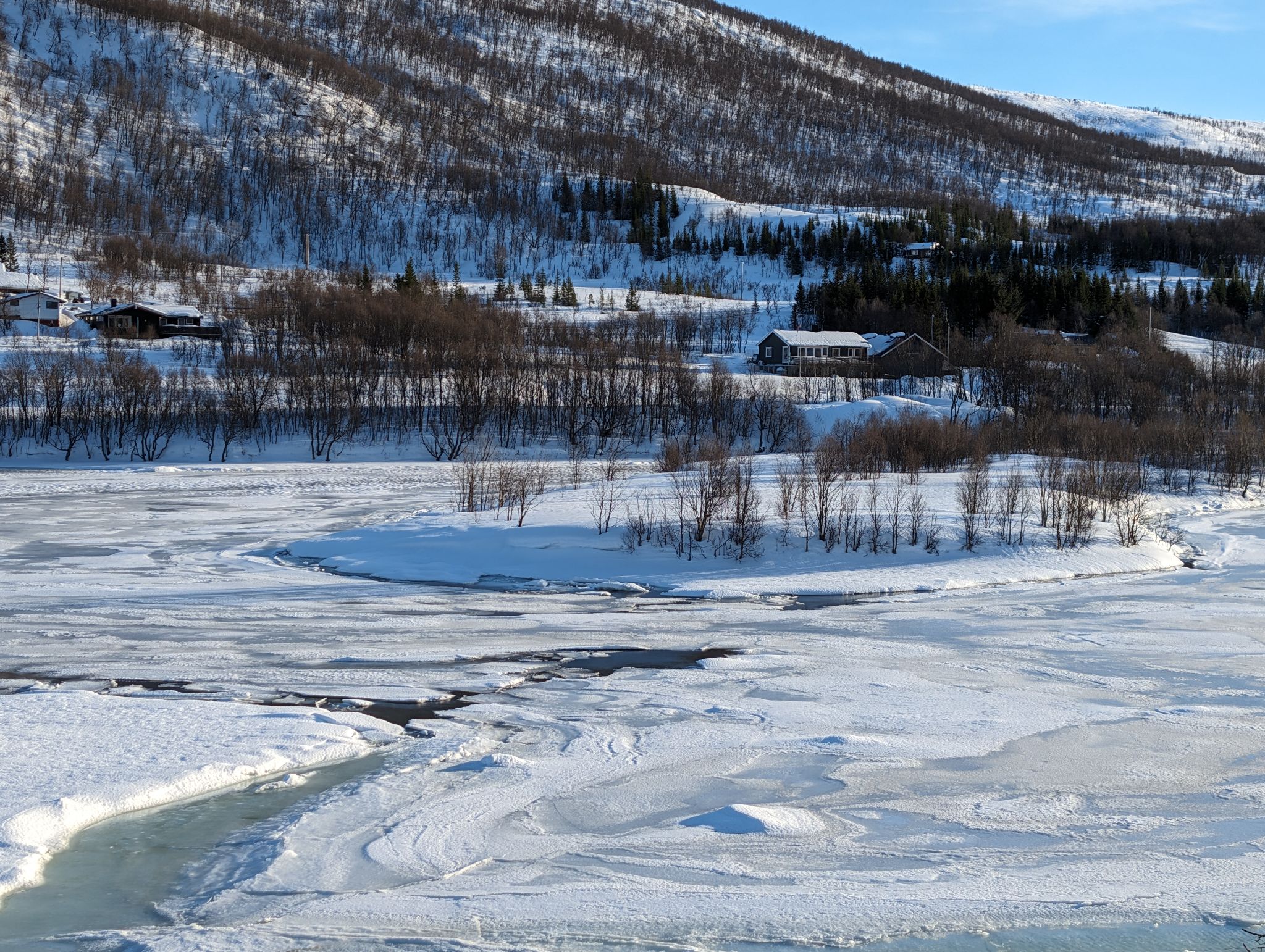 2024 02 23 12.58.17 pixel 8p