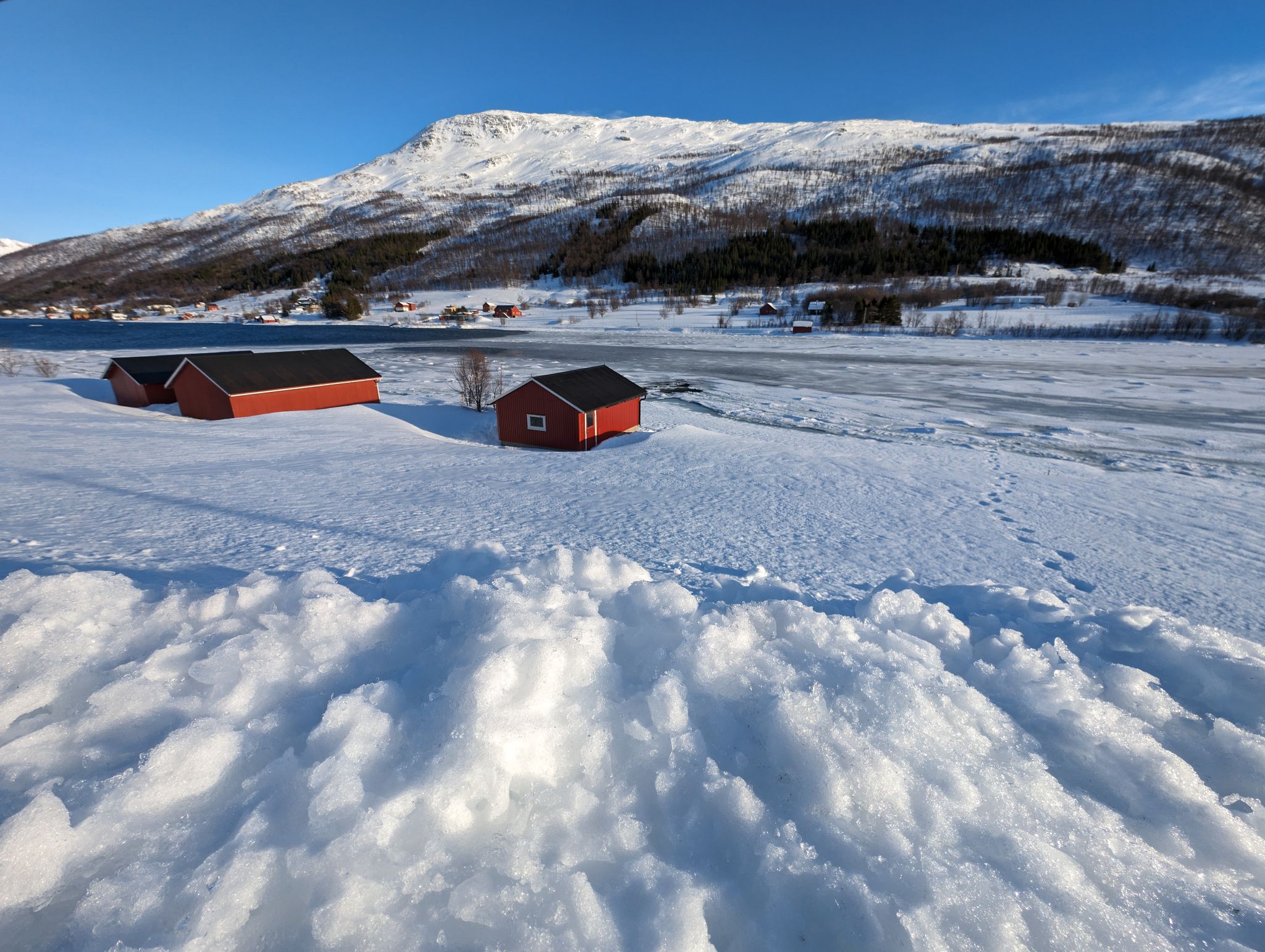 2024 02 23 12.59.41 pixel 8p