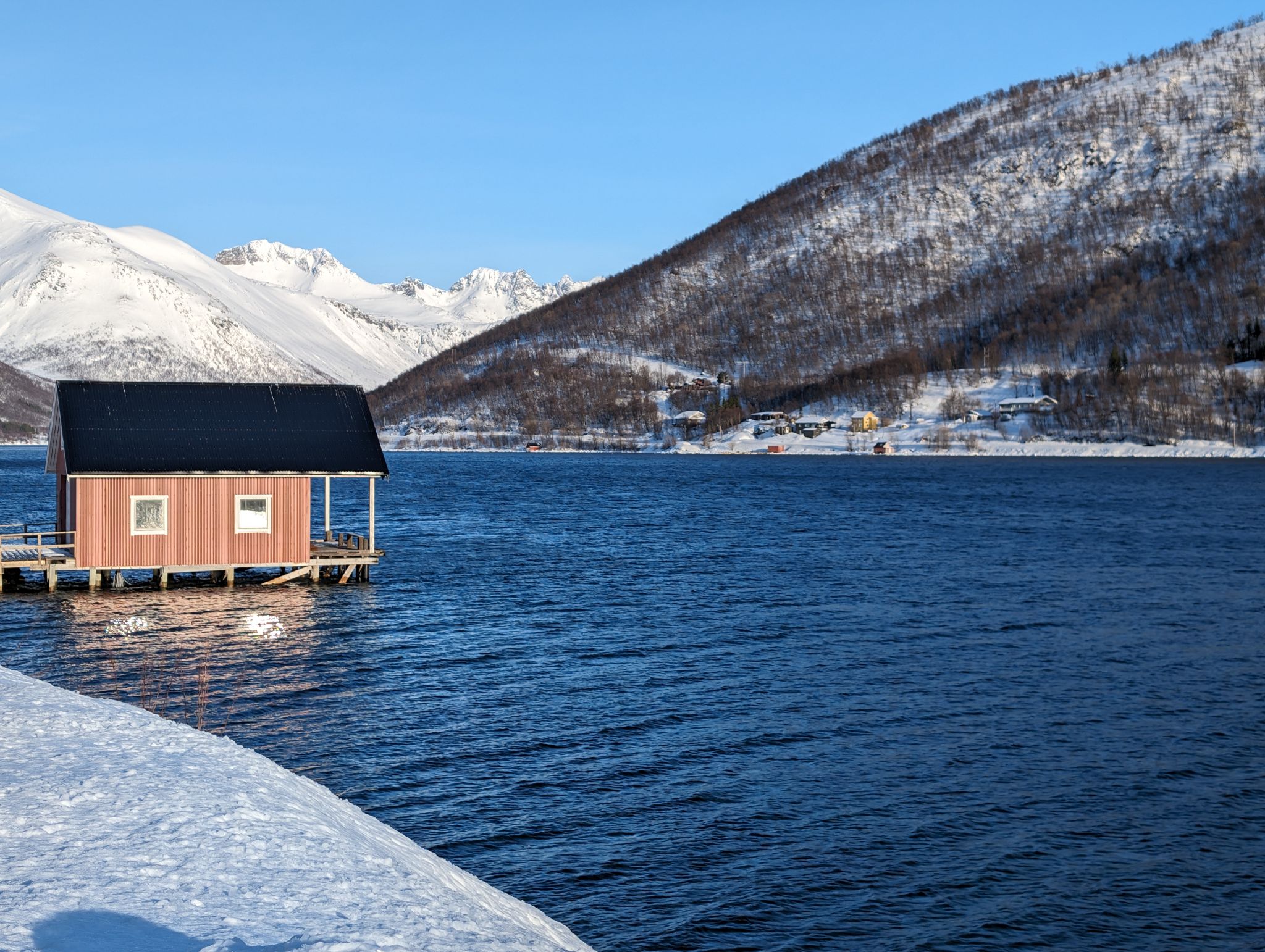 2024 02 23 13.02.51 pixel 8p