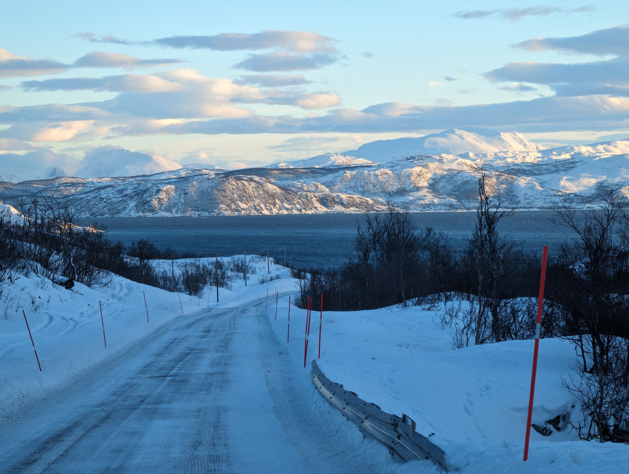 2024 02 23 15.16.51 pixel 8p