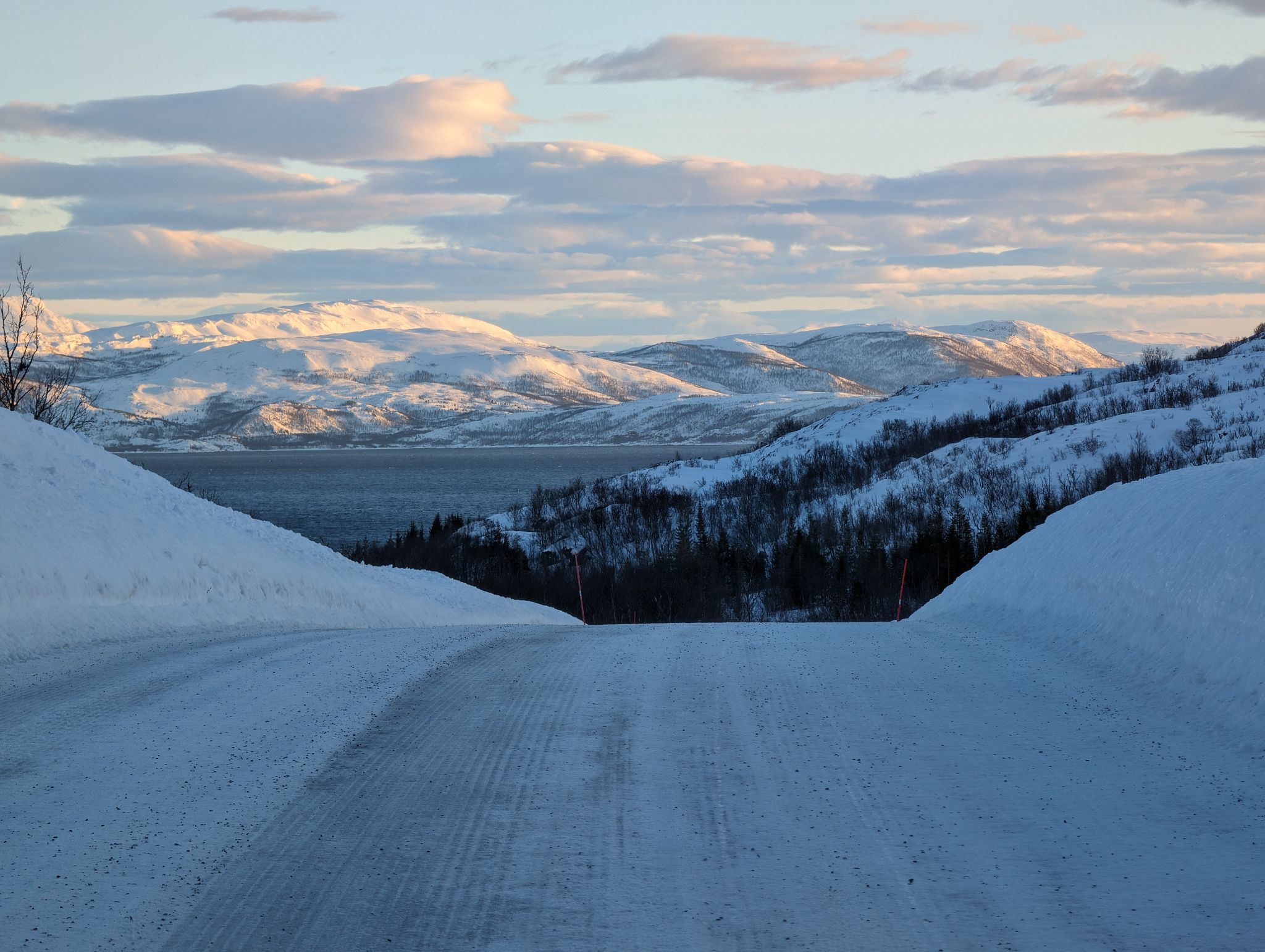 2024 02 23 15.17.55 pixel 8p