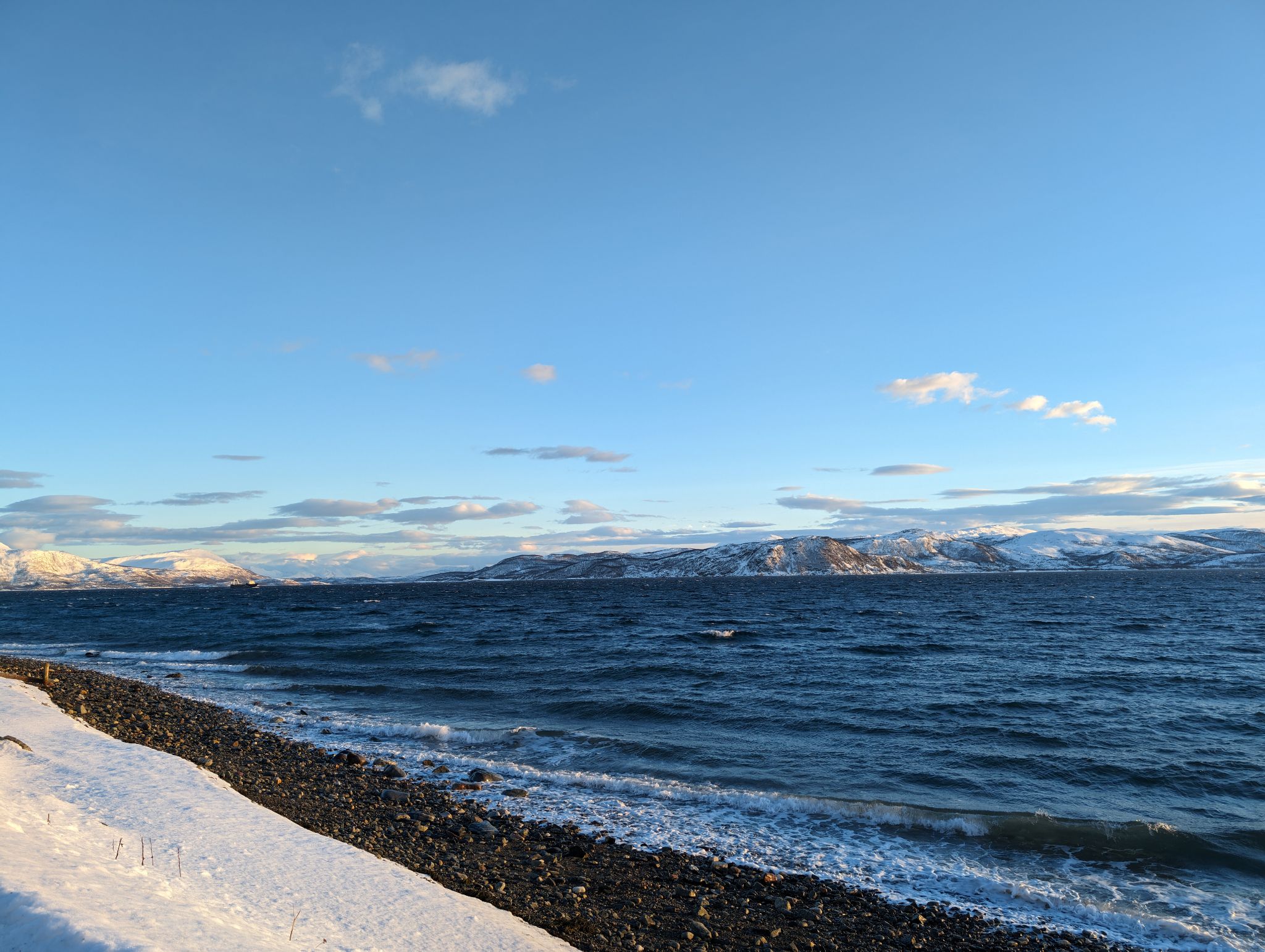 2024 02 23 15.27.52 pixel 8p