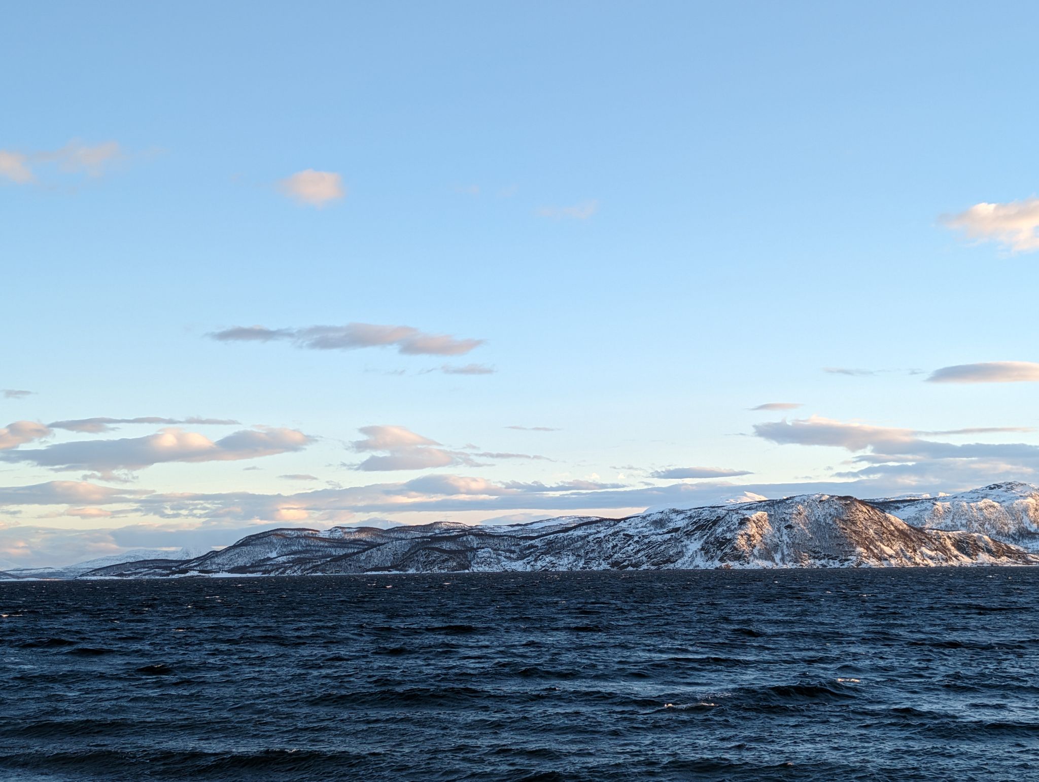 2024 02 23 15.27.56 pixel 8p