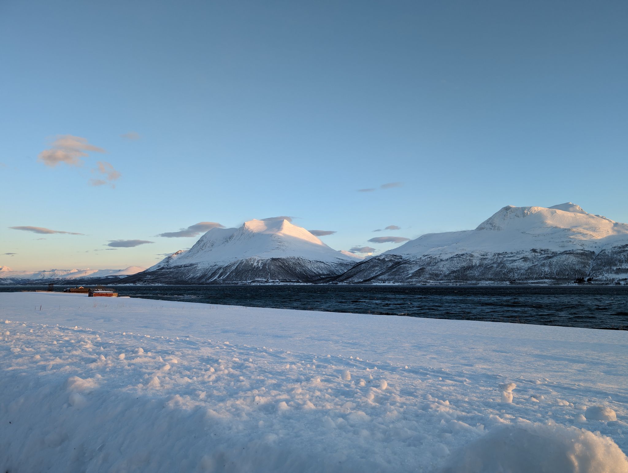 2024 02 23 15.43.43 pixel 8p