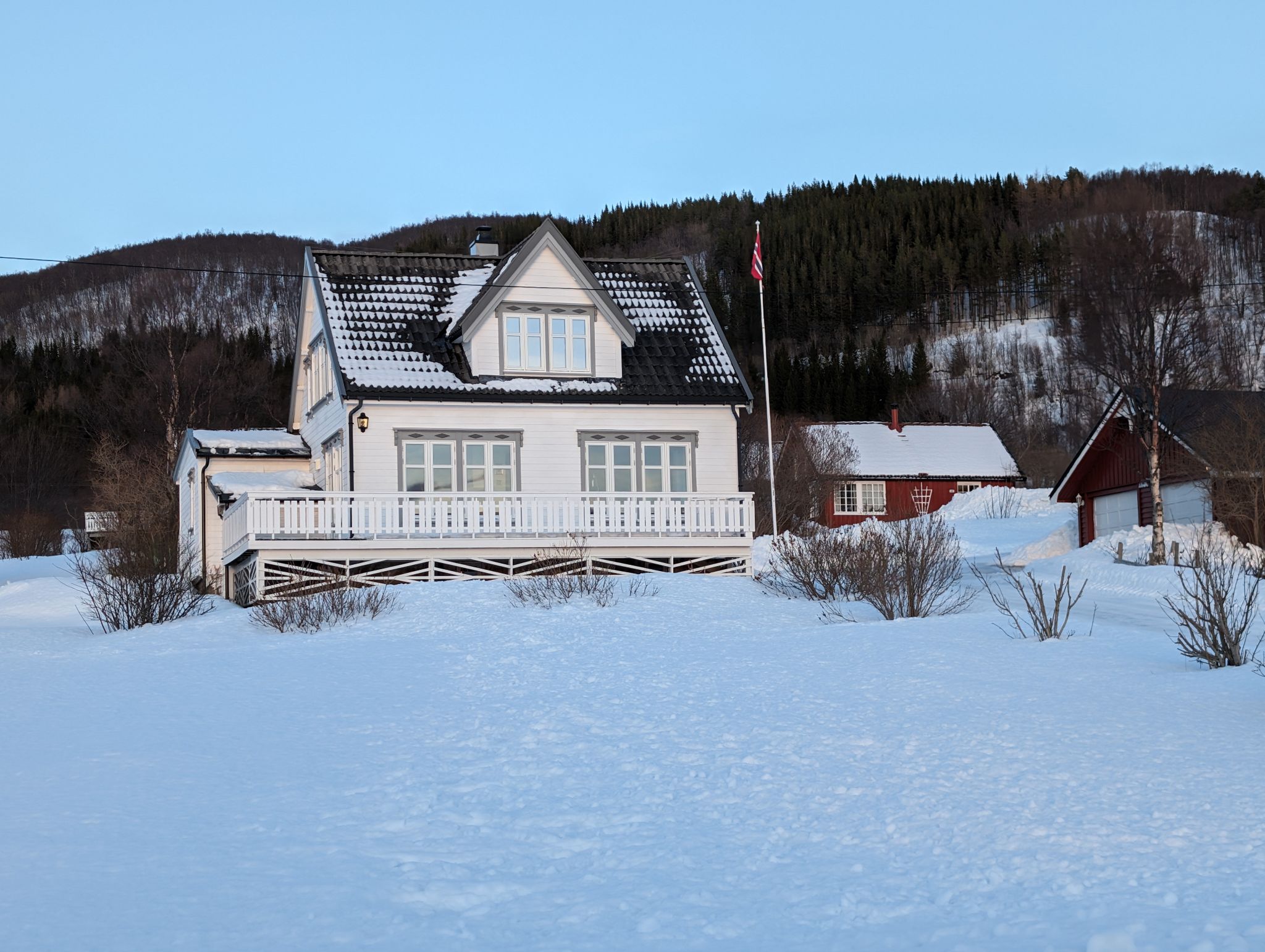 2024 02 23 16.01.12 pixel 8p