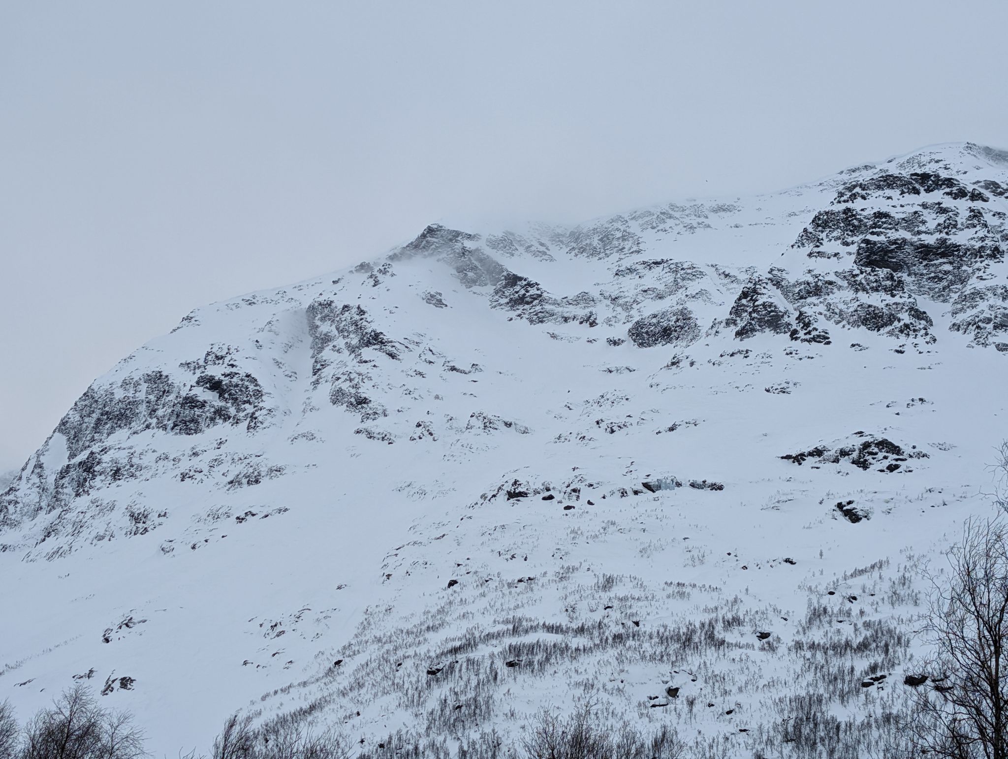 2024 02 24 12.47.18 pixel 8p