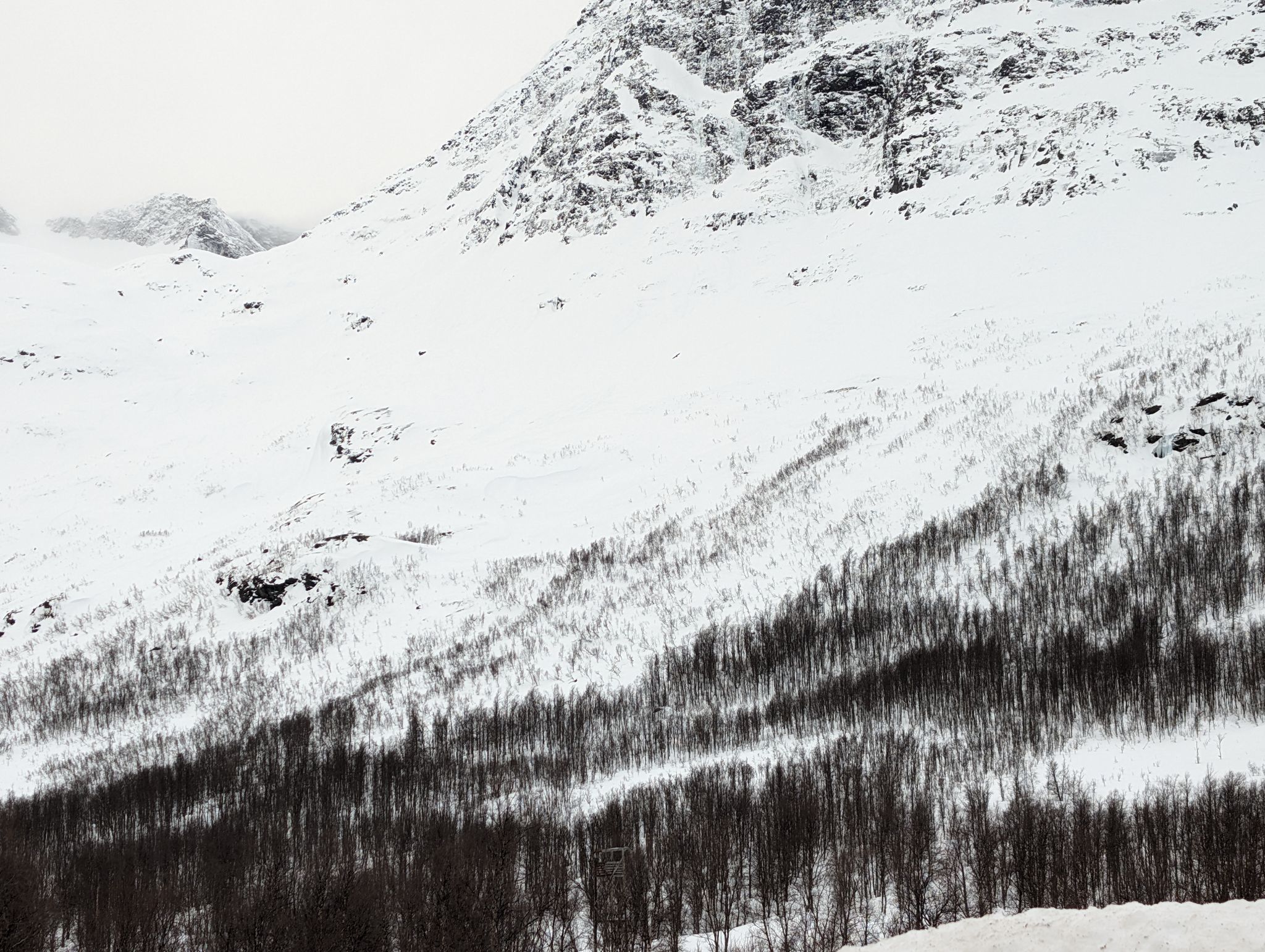 2024 02 24 12.53.06 pixel 8p