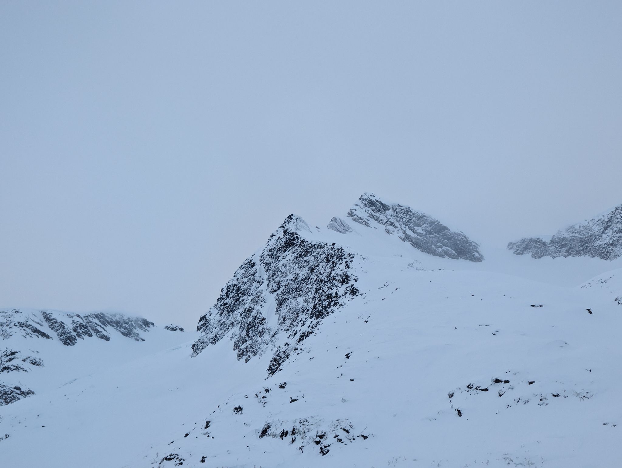 2024 02 24 12.54.24 pixel 8p